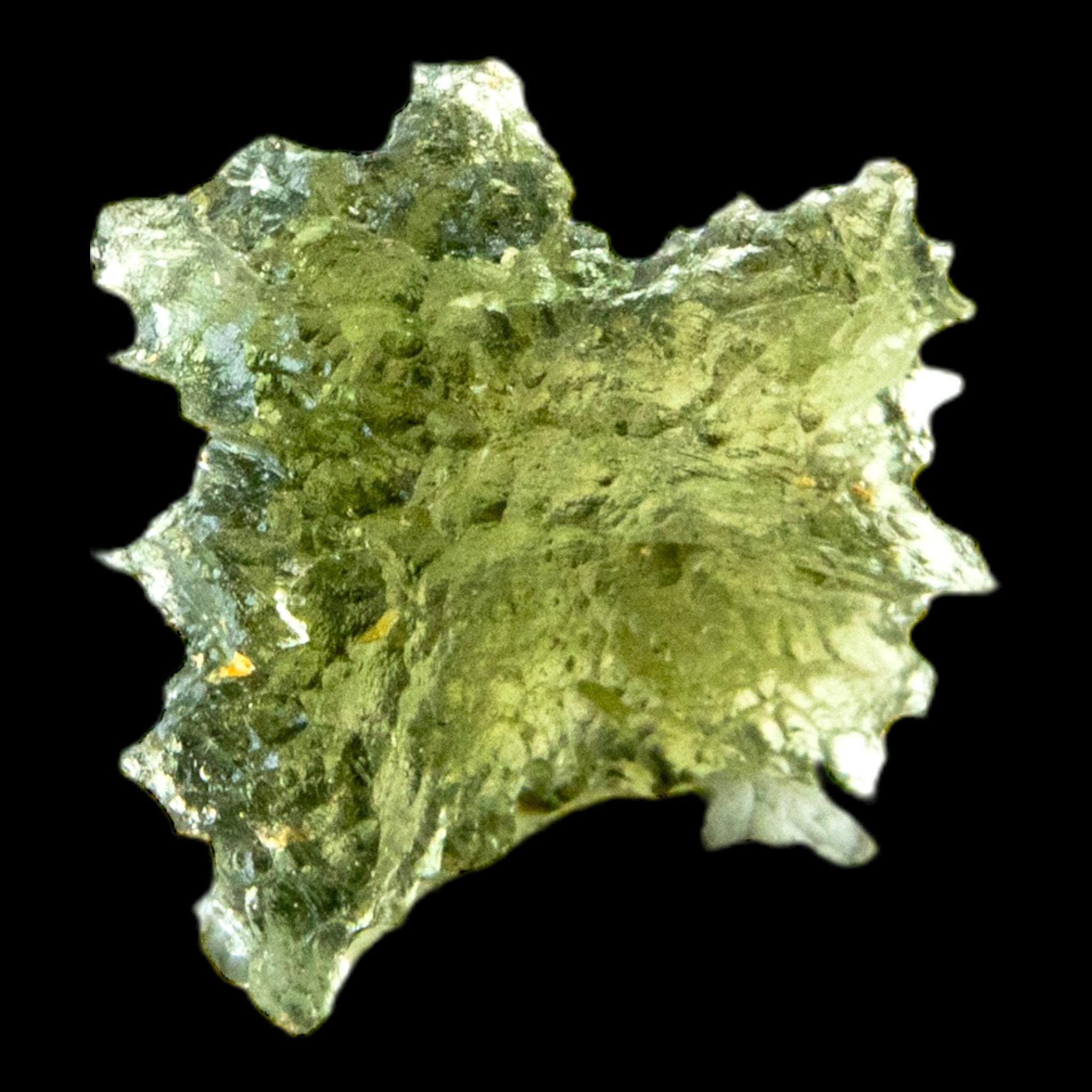 Hedgehog moldavite crystal, raw green moldavite tektite from czech republic, natural moldavite specimen with sharp spiky texture