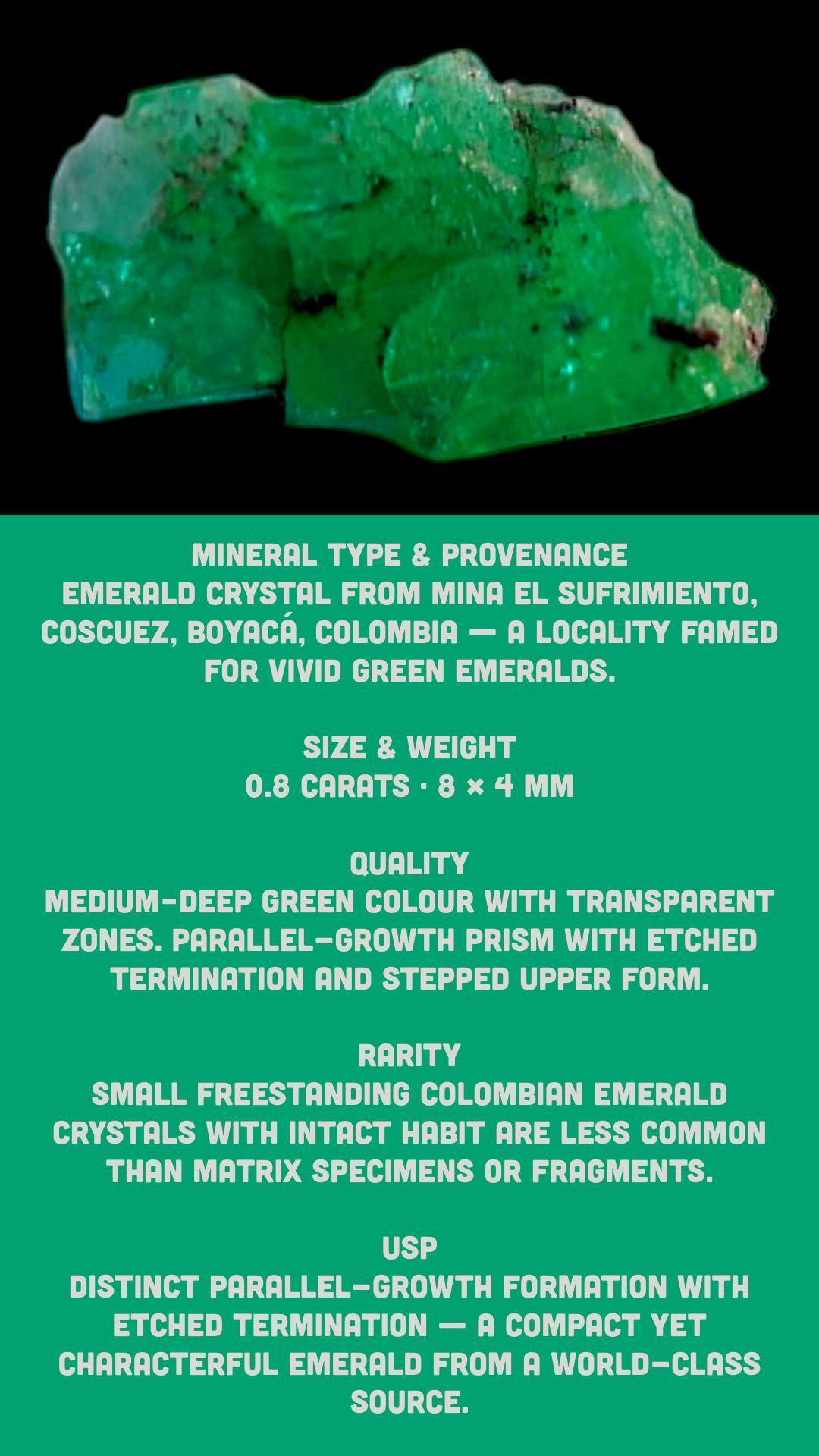 Colombian emerald crystal, natural raw emerald from coscuez colombia, green crystal specimen for collectors and display - Image 9