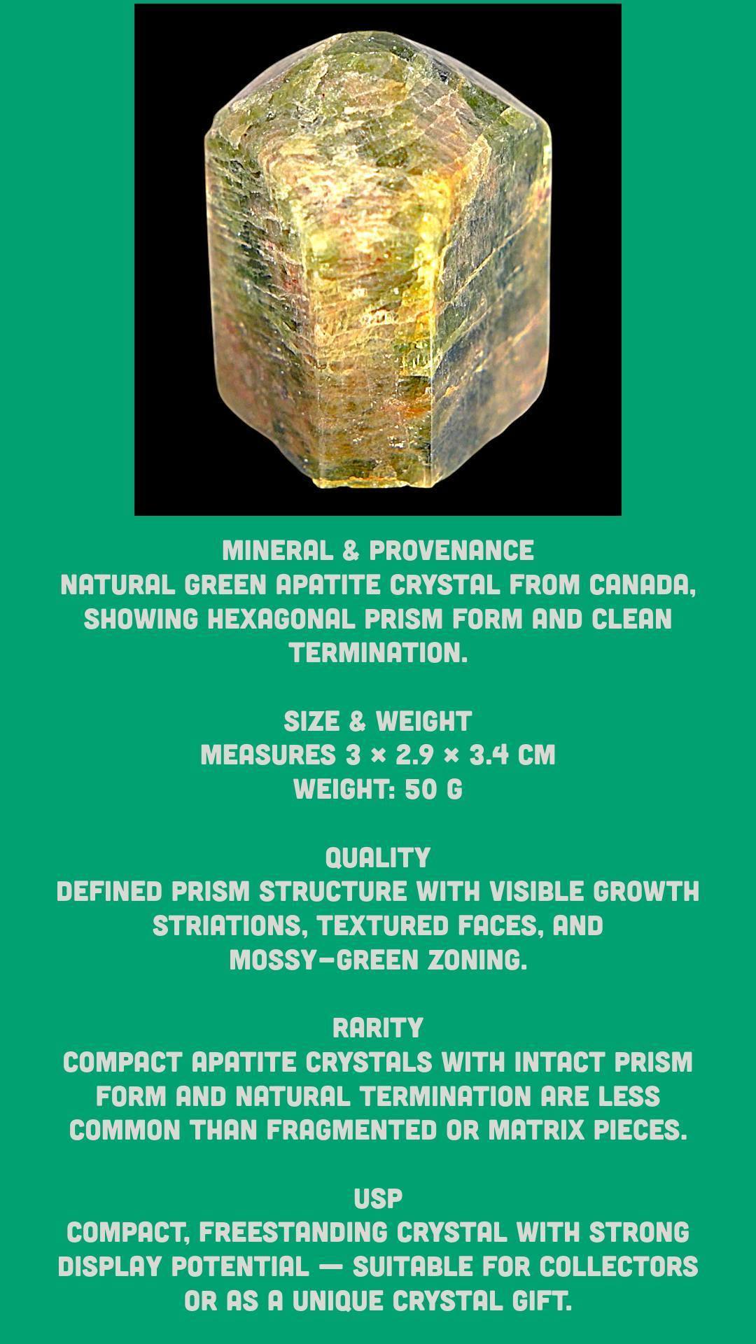 Raw green apatite crystal mineral specimen healing crystal raw crystal specimen green crystal from canada crystal gift - Image 6