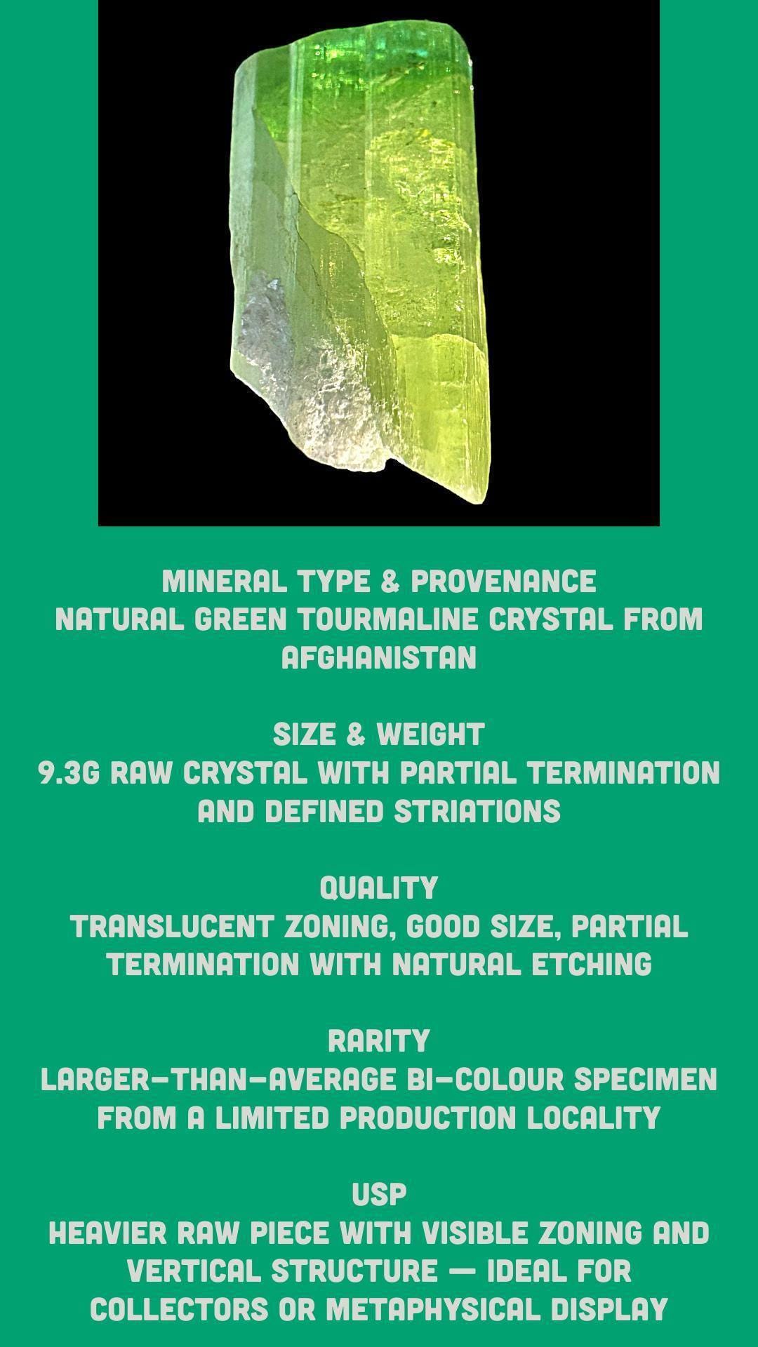 Green tourmaline crystal for collectors natural tourmaline specimen raw green crystal for display - Image 7
