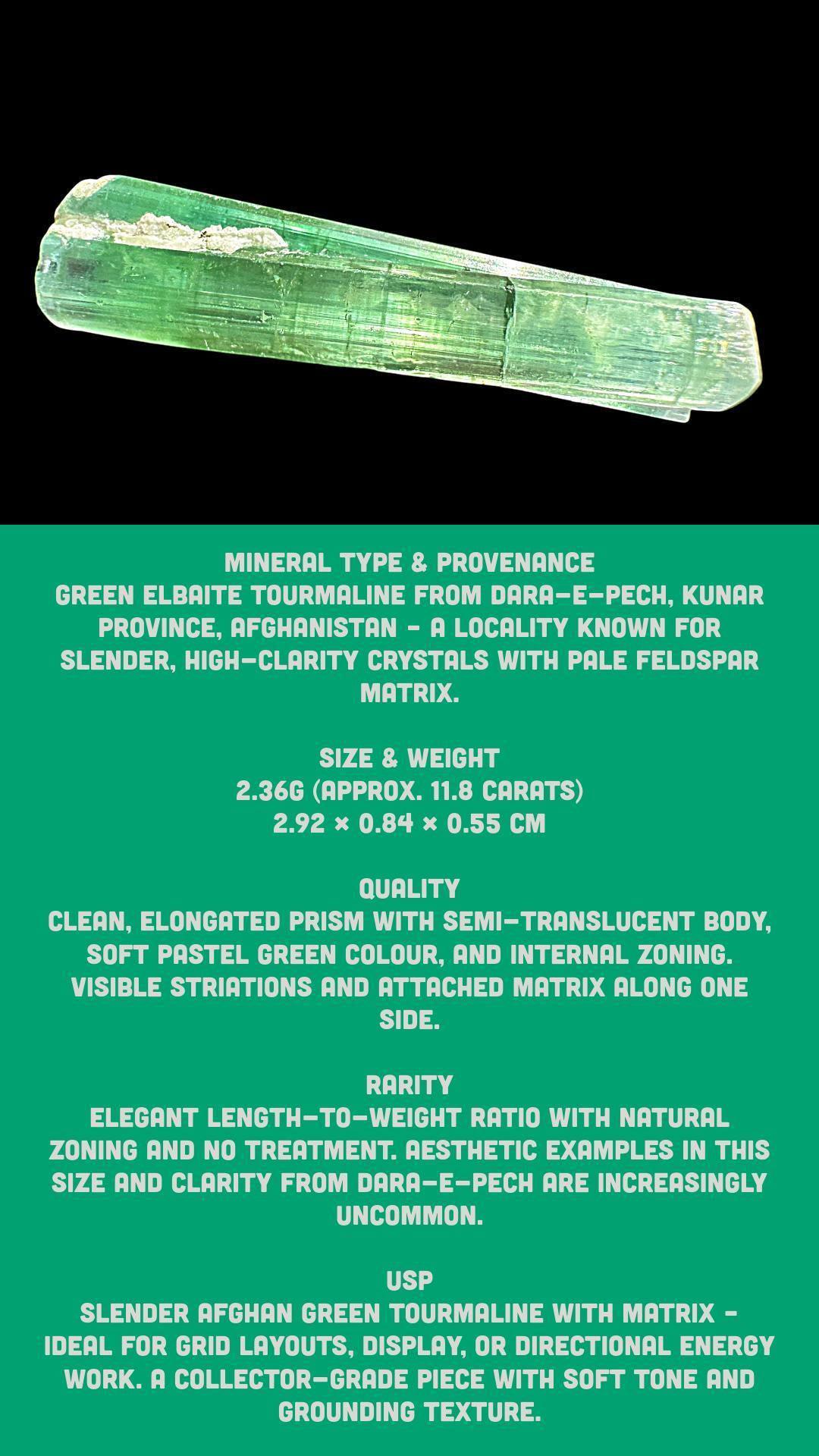 Green green elbaite tourmaline specimen natural raw tourmaline crystal light green pegmatite mineral for collectors display or energy work - Image 9