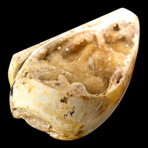 Spiralite fossil: druzy quartz & chalcedony shell, dhar region india