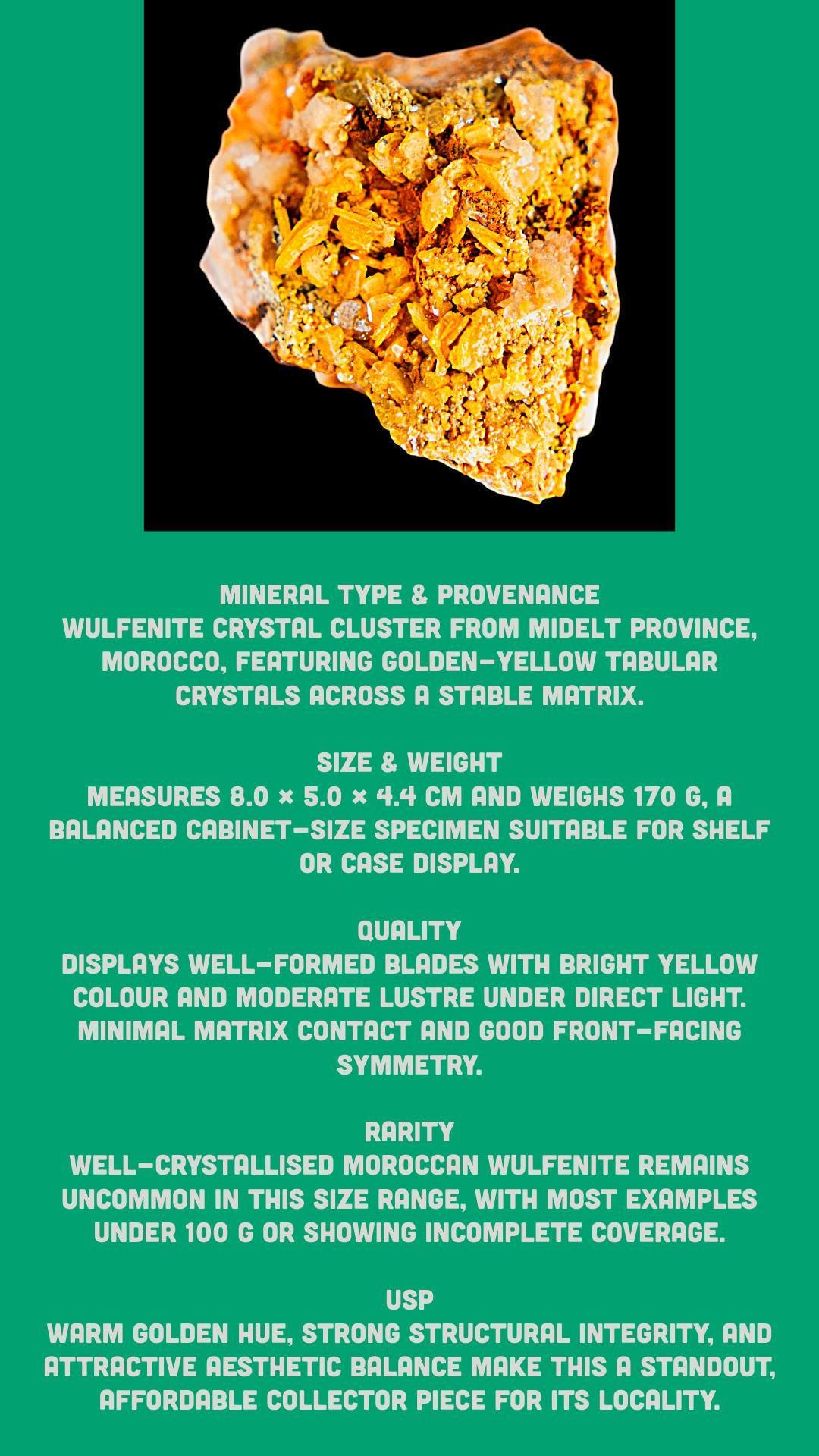 Wulfenite crystal for collectors or display - Image 7