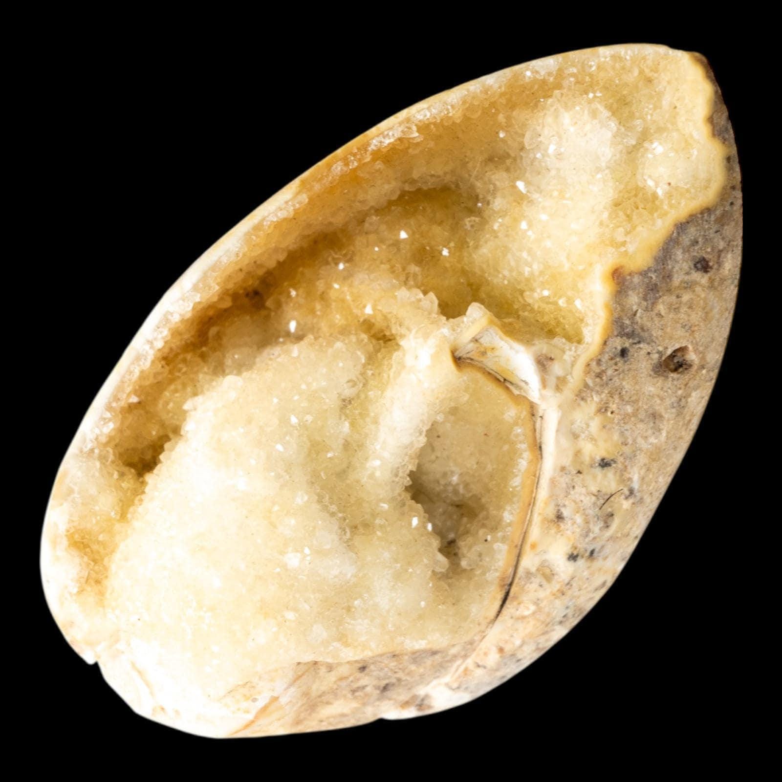 Spiralite fossil with druzy quartz, natural chalcedony shell geode, fossil specimen from india, rare crystallised fossil for collectors - Image 3