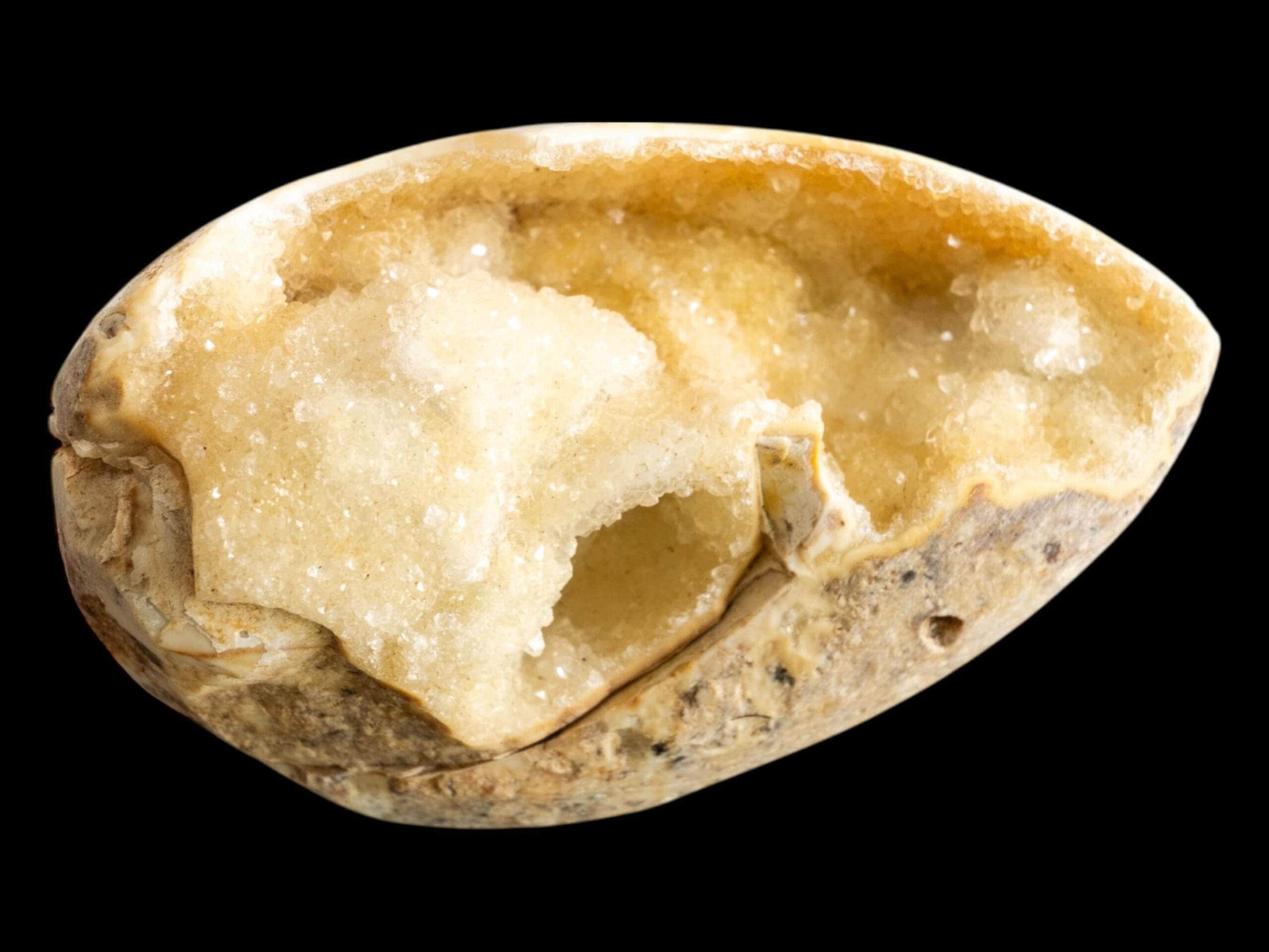 Spiralite fossil with druzy quartz, natural chalcedony shell geode, fossil specimen from india, rare crystallised fossil for collectors - Image 4