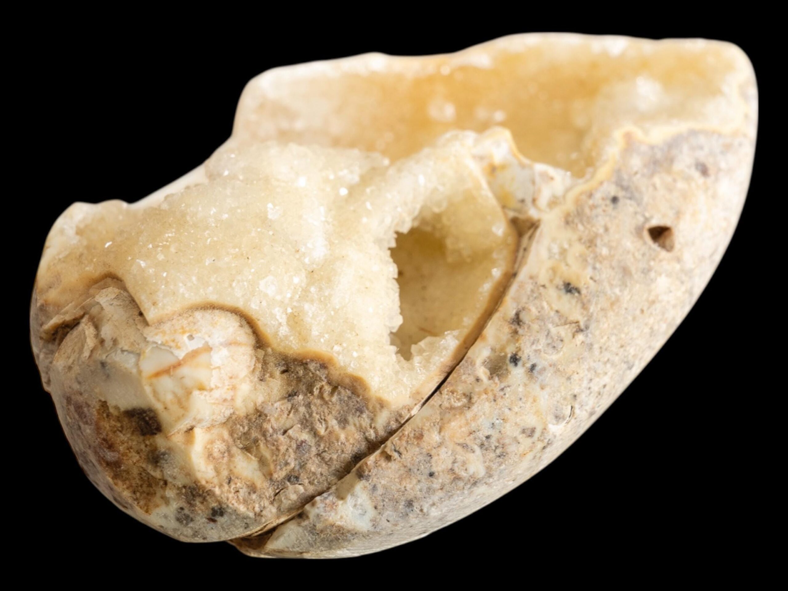 Spiralite fossil with druzy quartz, natural chalcedony shell geode, fossil specimen from india, rare crystallised fossil for collectors - Image 5