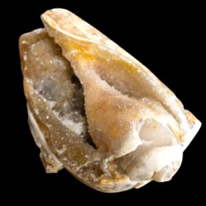 Spiralite fossil druzy shell, chalcedony and quartz, fine collector’s specimen, dhar region india