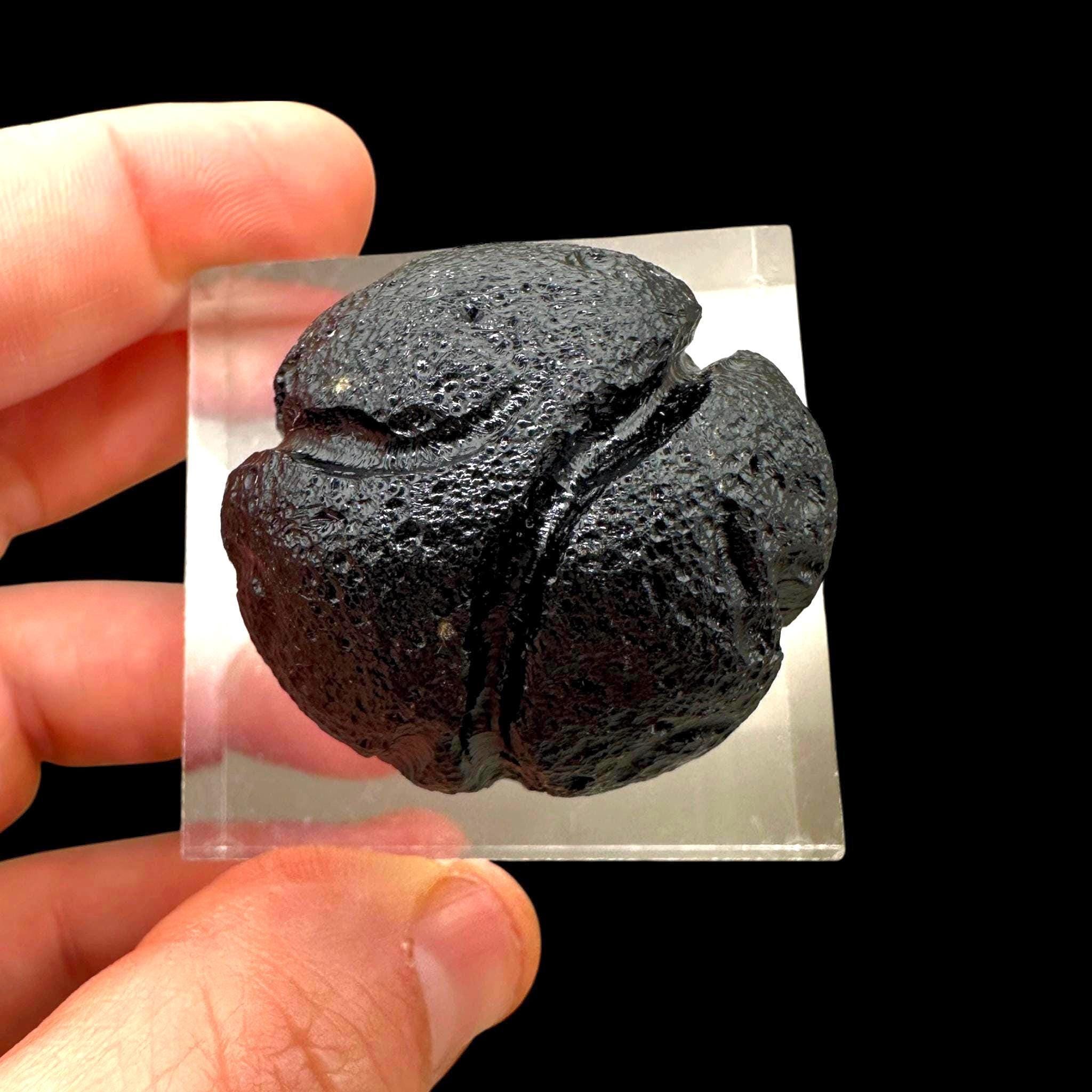 Rizalite tektite crystal, natural black philippinite tektite, meteorite impact glass, raw bicolite specimen, collector tektite
