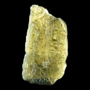 Moldavite crystal natural green moldavite from chlum czech republic raw tektite authentic moldavite specimen for collectors display