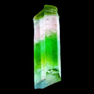 Tricolour tourmaline crystal natural green and pink elbaite from paprok afghanistan terminated tourmaline specimen for collectors display