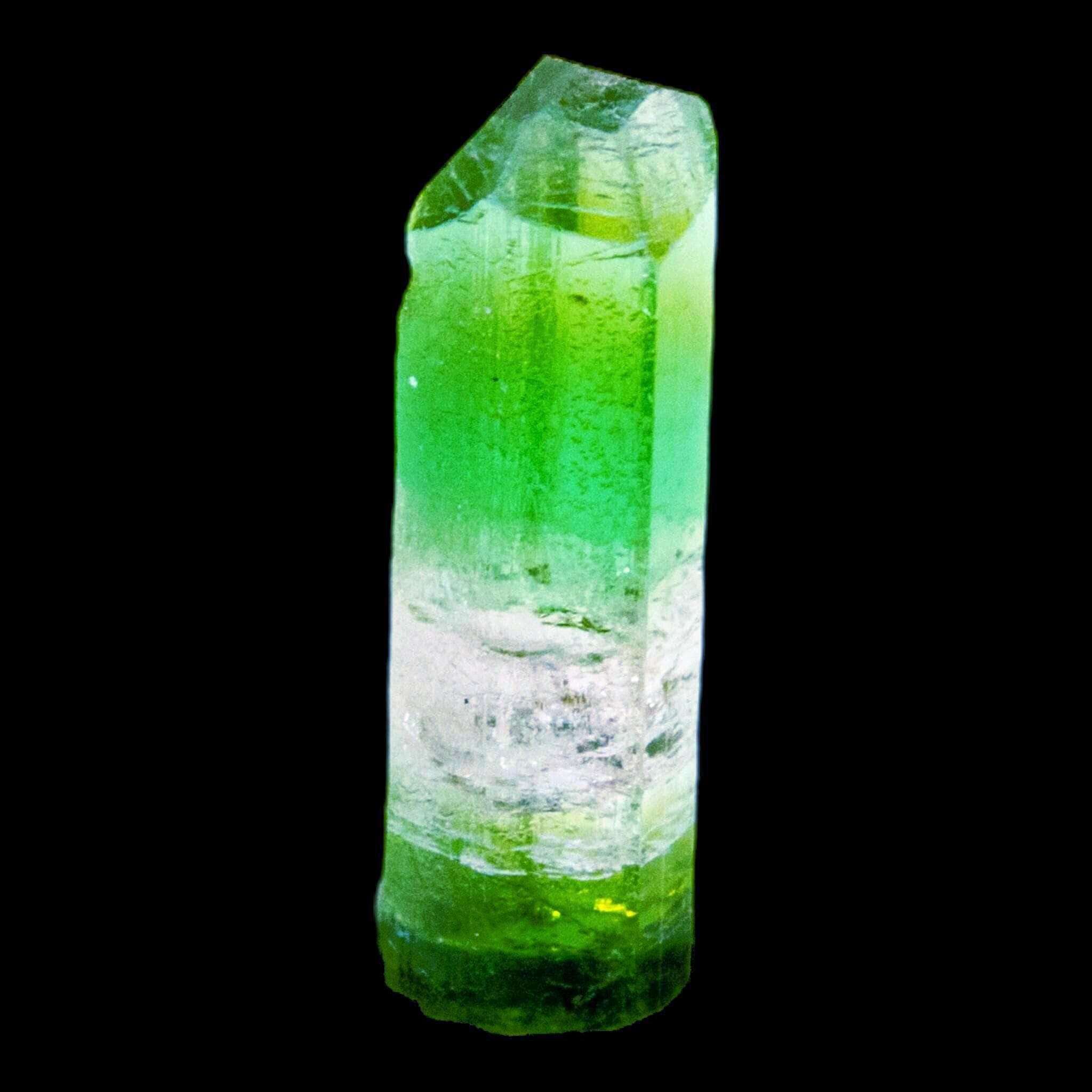 Tricolour tourmaline crystal natural green and pink elbaite from paprok afghanistan terminated specimen for collectors or display