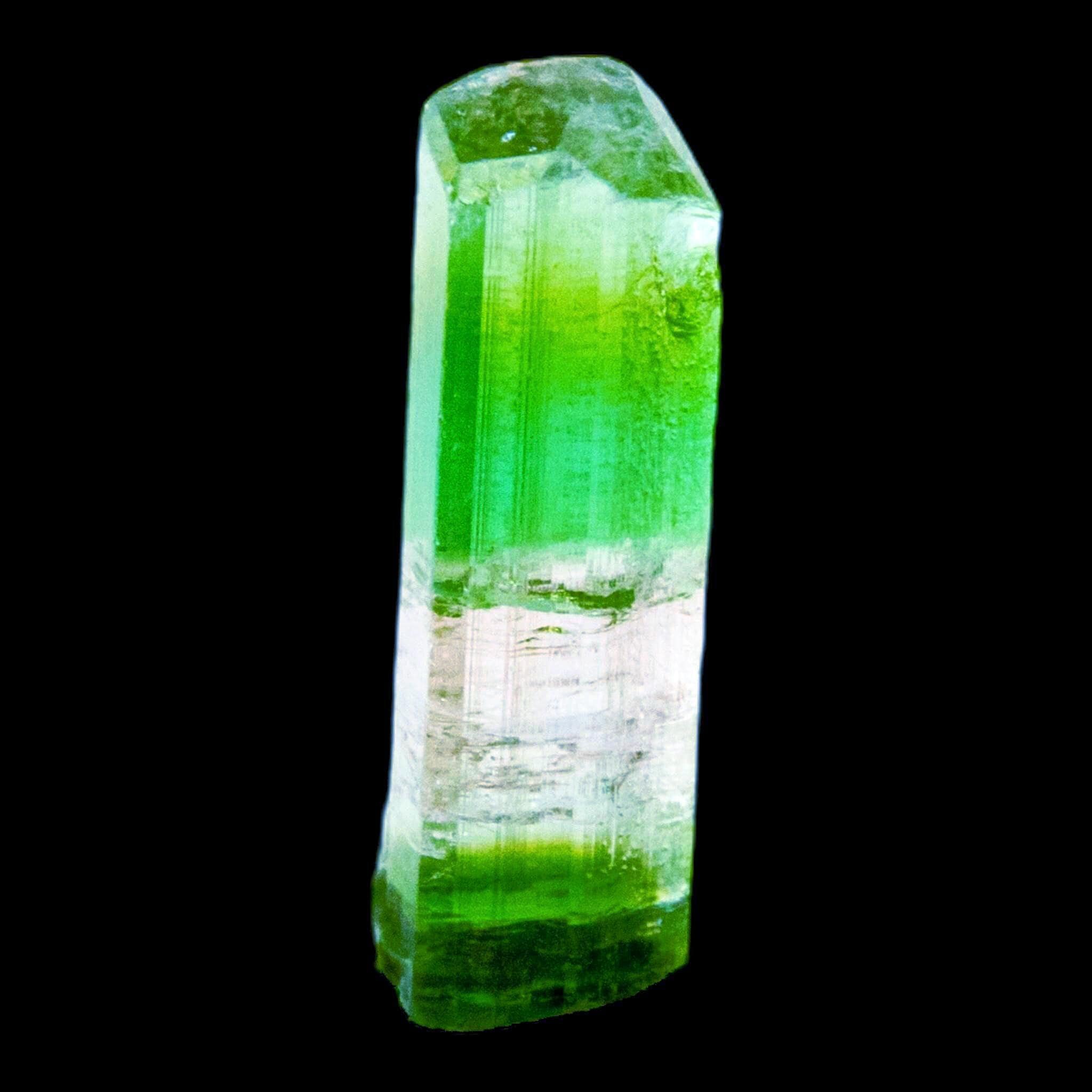 Tricolour tourmaline crystal natural green and pink elbaite from paprok afghanistan terminated specimen for collectors or display - Image 2