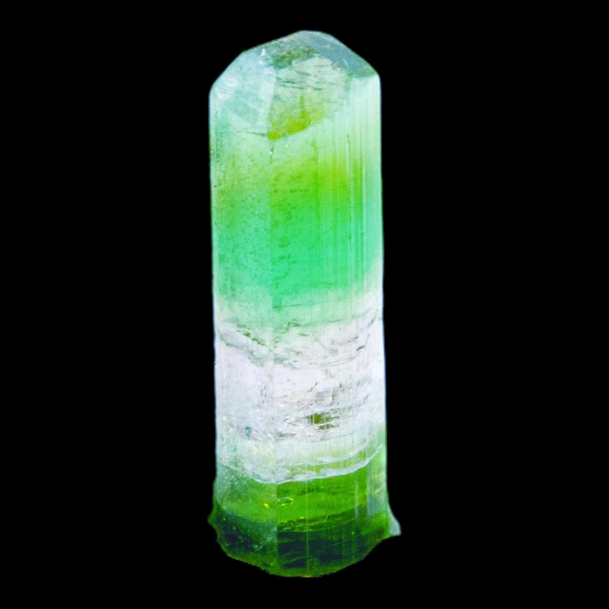 Tricolour tourmaline crystal natural green and pink elbaite from paprok afghanistan terminated specimen for collectors or display - Image 5