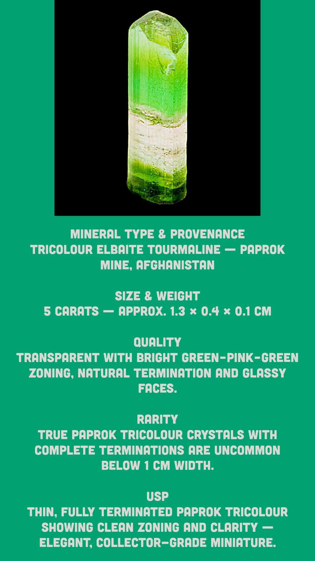 Tricolour tourmaline crystal natural green and pink elbaite from paprok afghanistan terminated specimen for collectors or display - Image 9