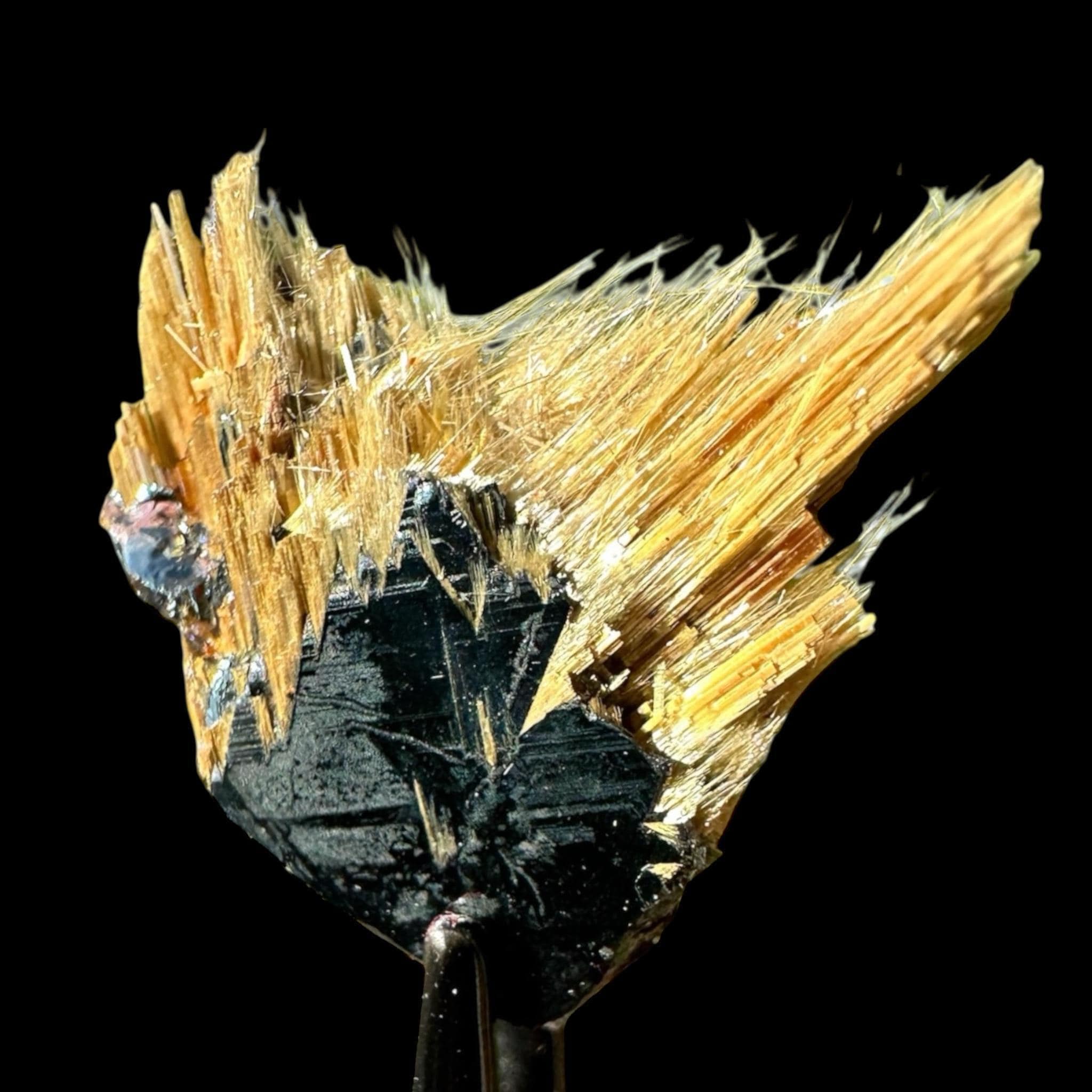 Golden rutile spray crystal on hematite natural rutile cluster collectible crystal brazil raw rutile specimen for display