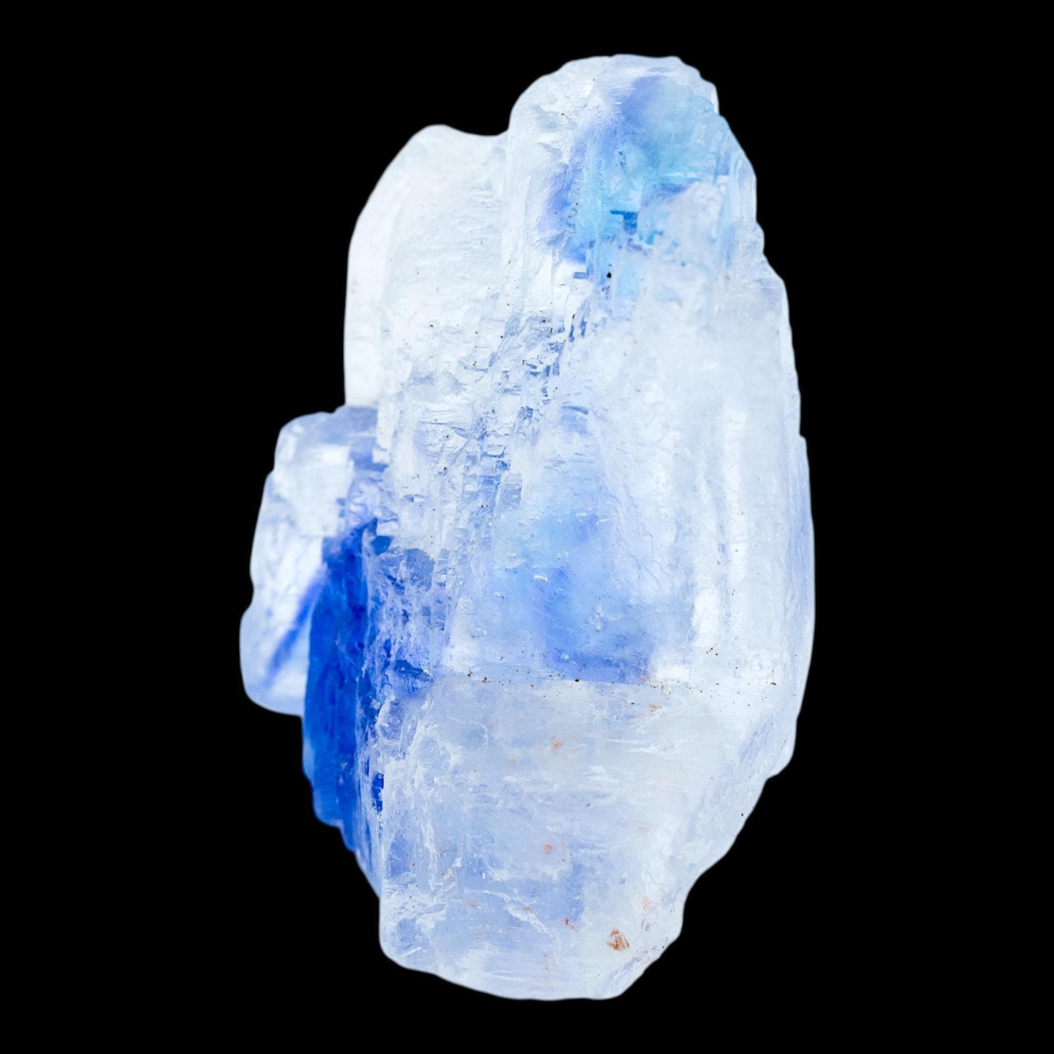 Blue halite crystal cluster, natural cubic salt crystal with vivid blue colour zoning, rare mineral specimen from new mexico - Image 8