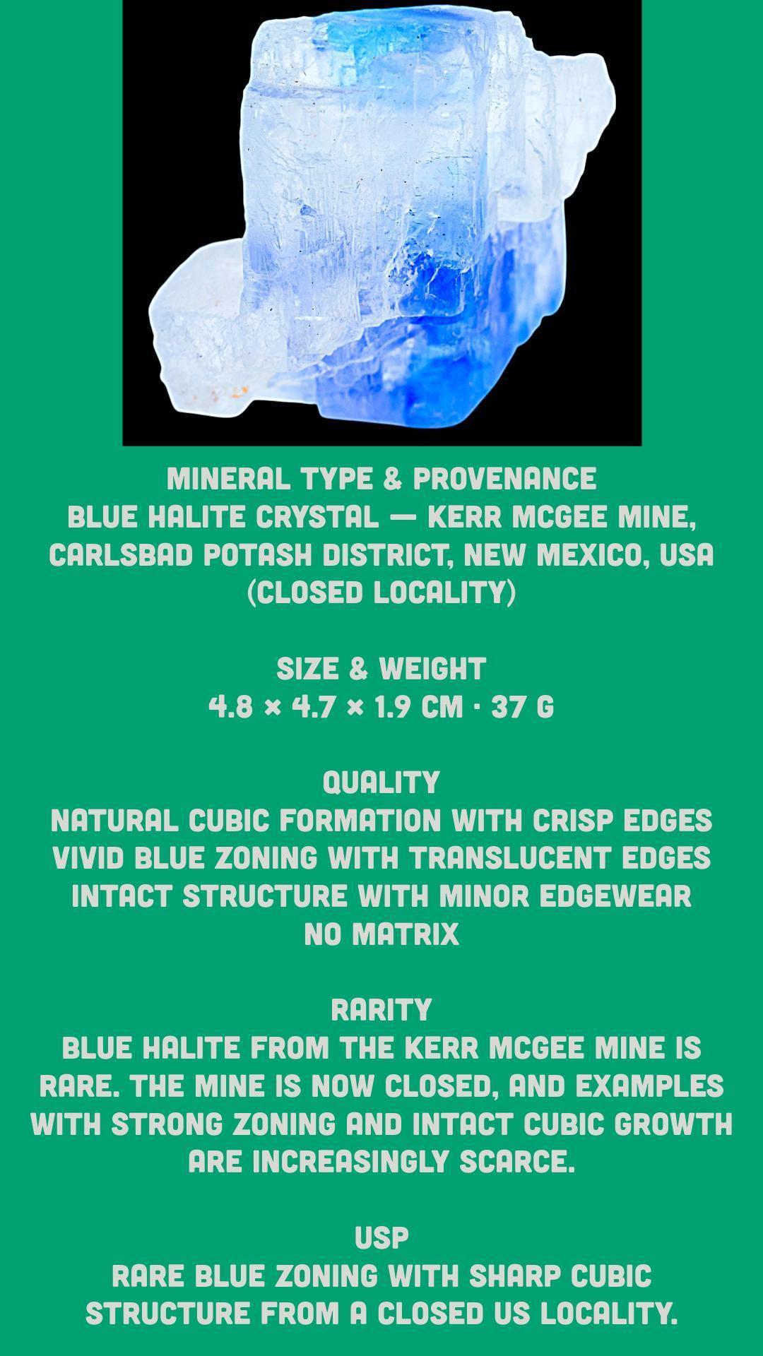 Blue halite crystal cluster, natural cubic salt crystal with vivid blue colour zoning, rare mineral specimen from new mexico - Image 10