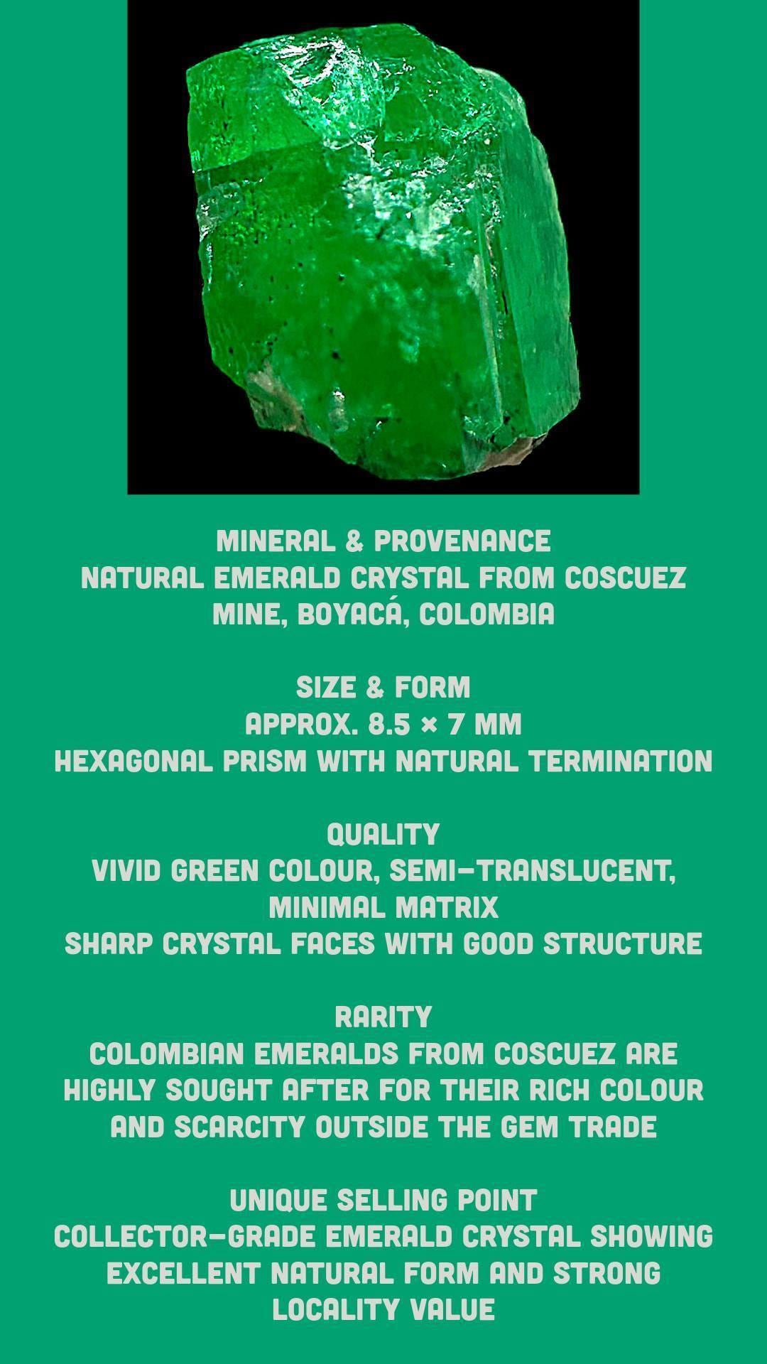 Colombian emerald raw crystal specimen natural rough emerald green raw emerald from coscuez mine - Image 9
