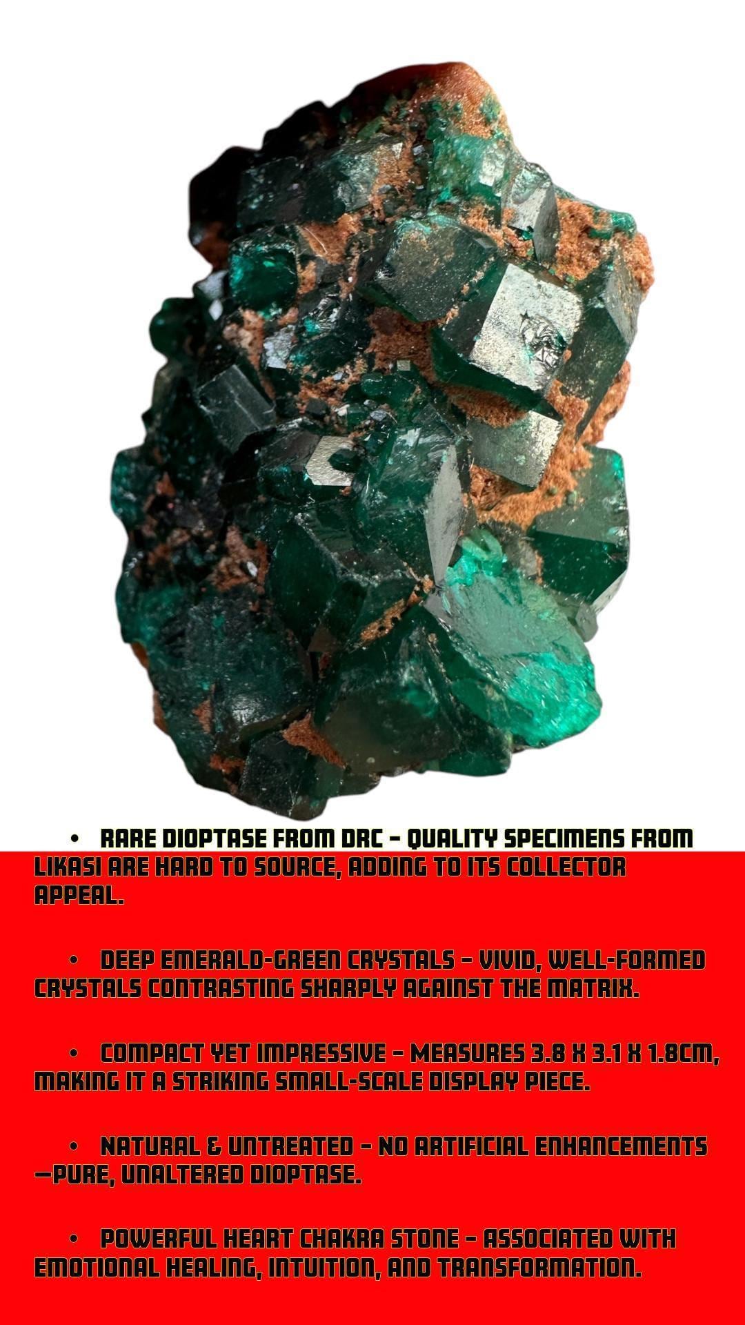 Dioptase on matrix, deep green congo crystal, raw mineral specimen, healing crystal, heart chakra, collector display piece - Image 2