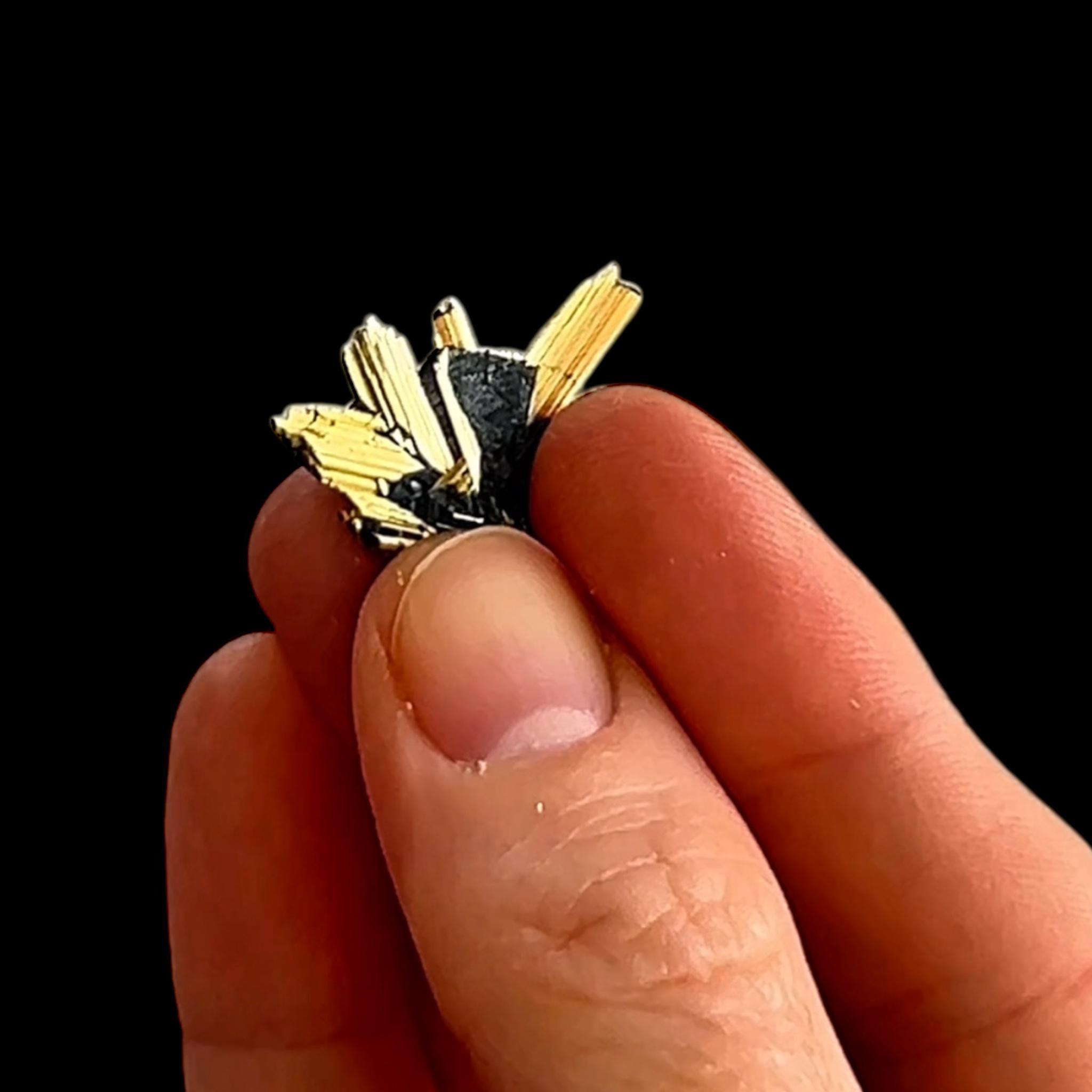 Golden rutile on hematite, novo horizonte brazil, thumbnail mineral specimen, collector crystal - Image 3