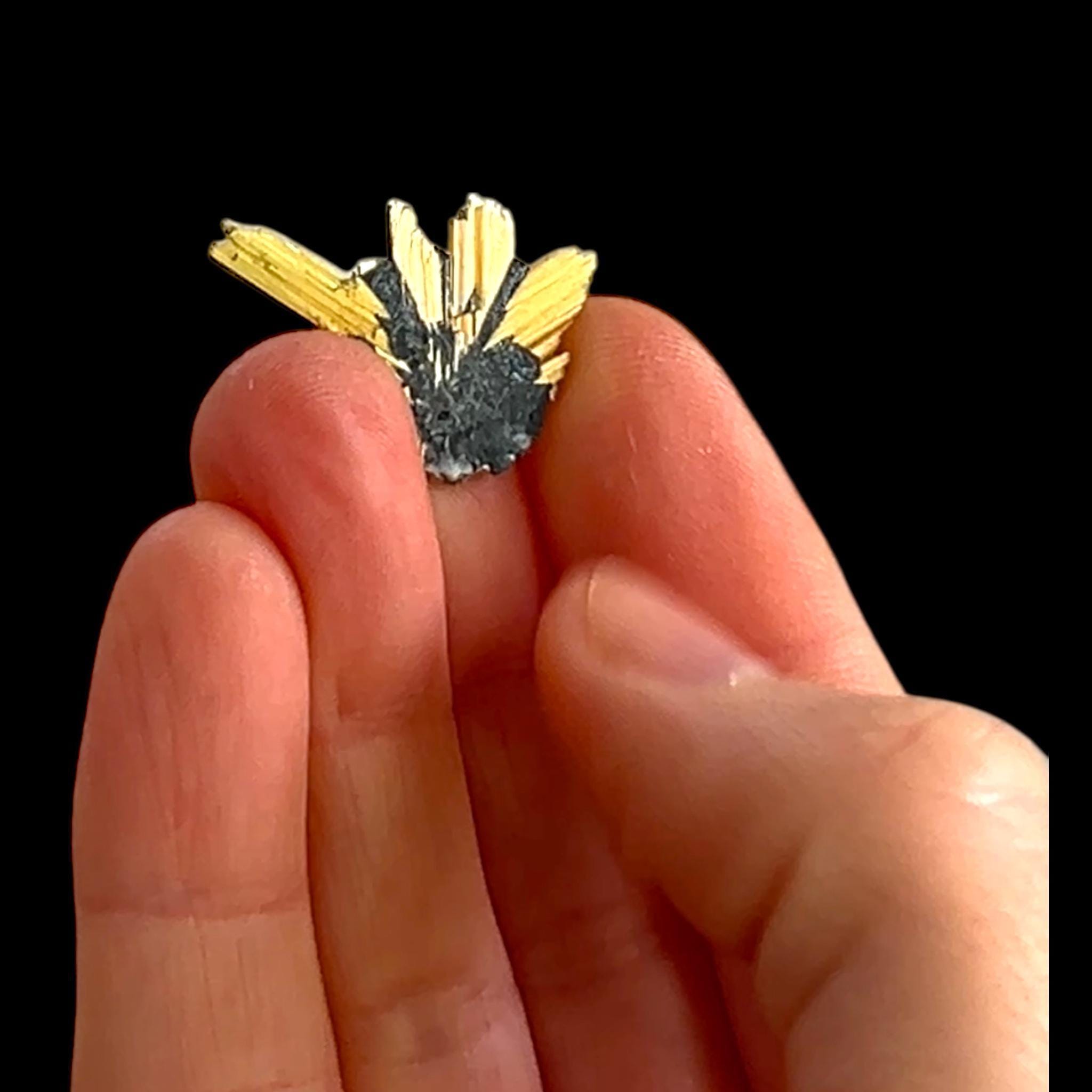 Golden rutile on hematite, novo horizonte brazil, thumbnail mineral specimen, collector crystal - Image 6