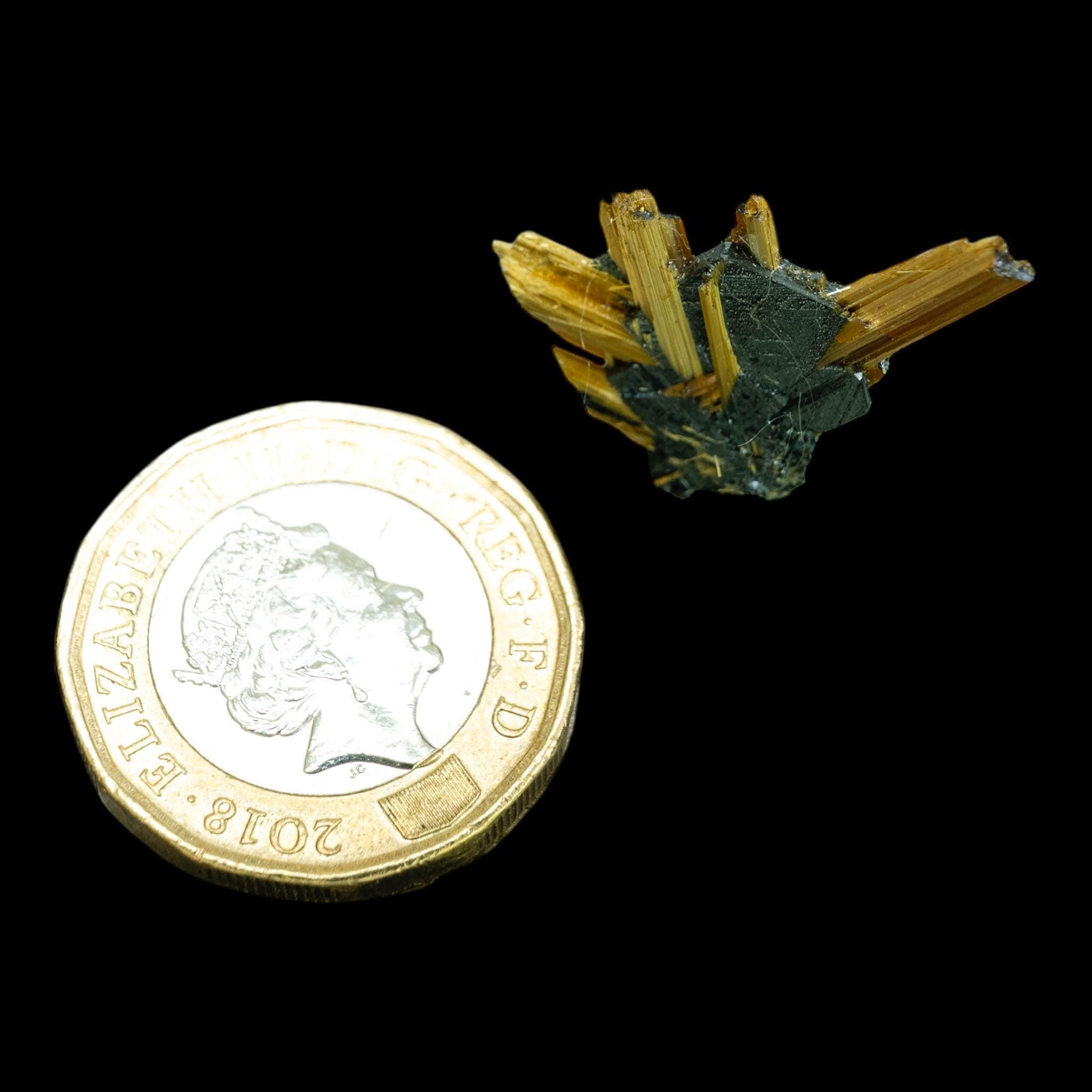 Golden rutile on hematite, novo horizonte brazil, thumbnail mineral specimen, collector crystal - Image 7