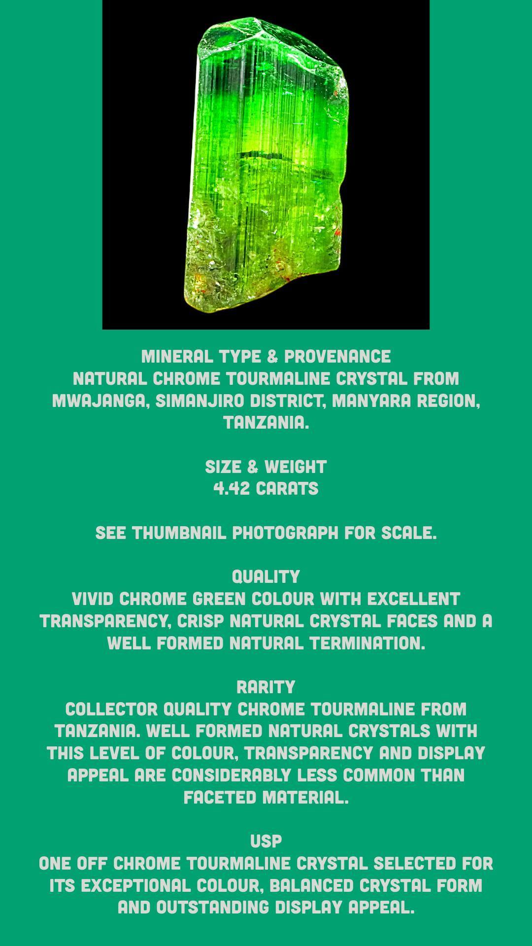 Chrome tourmaline crystal, green tourmaline crystal, natural tourmaline crystal, raw green crystal, collector mineral specimen - Image 8