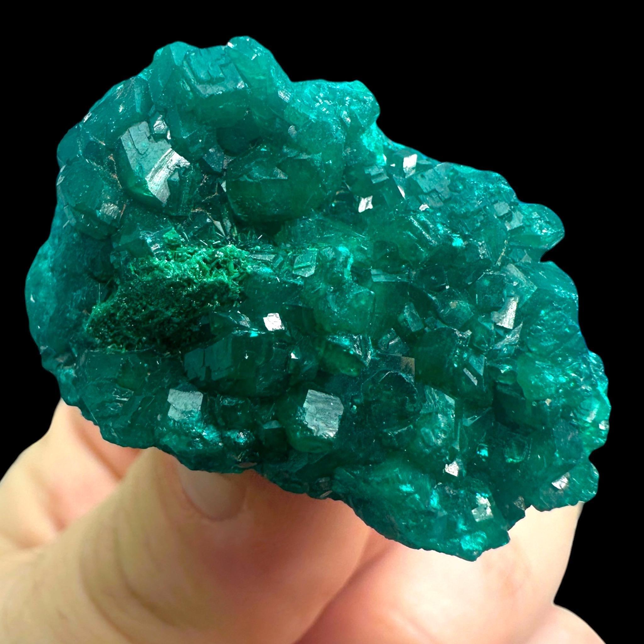 Dioptase crystal, dioptase specimen, dioptase cluster, raw dioptase crystal, dioptase with malachite, musonoi mine congo - Image 2