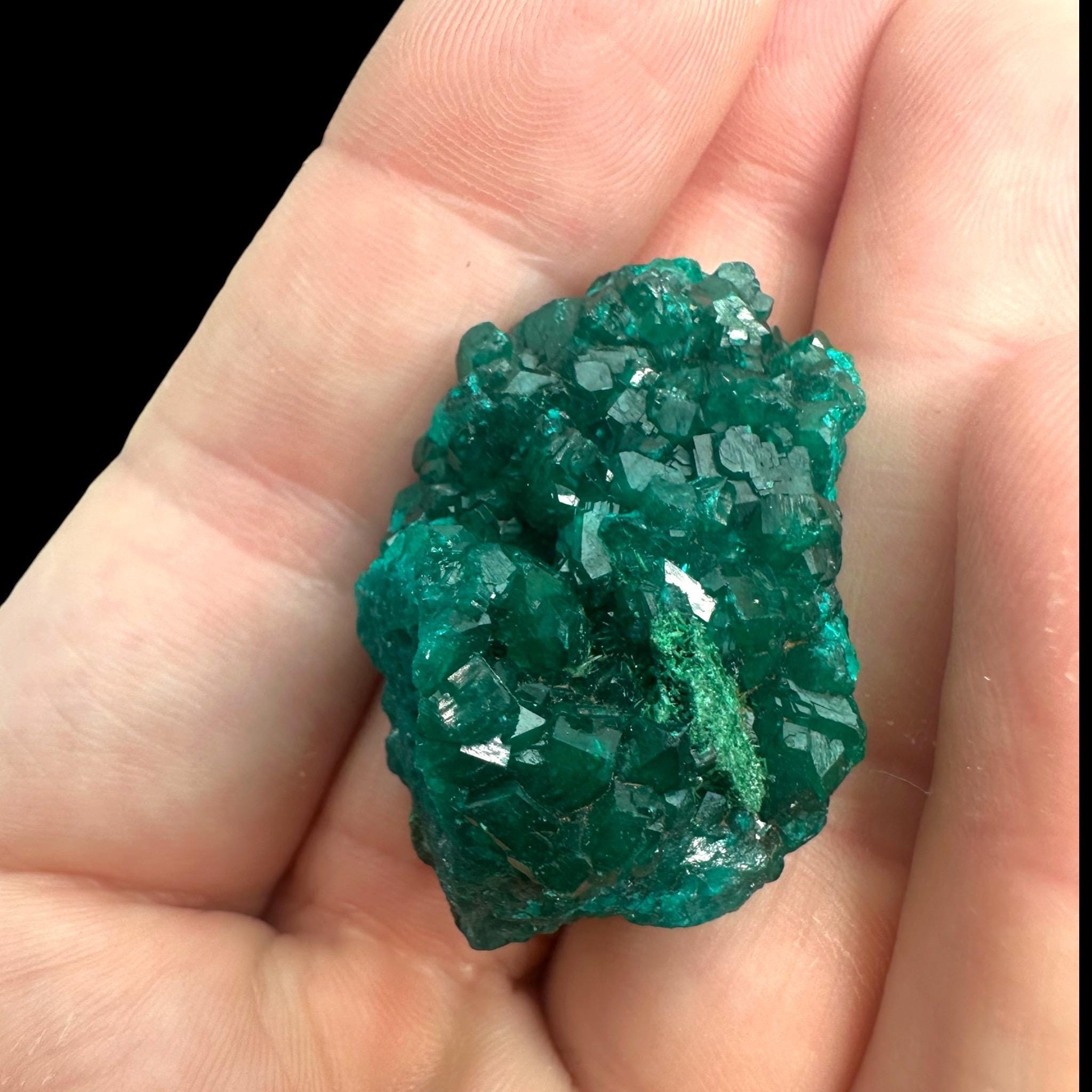 Dioptase crystal, dioptase specimen, dioptase cluster, raw dioptase crystal, dioptase with malachite, musonoi mine congo - Image 4