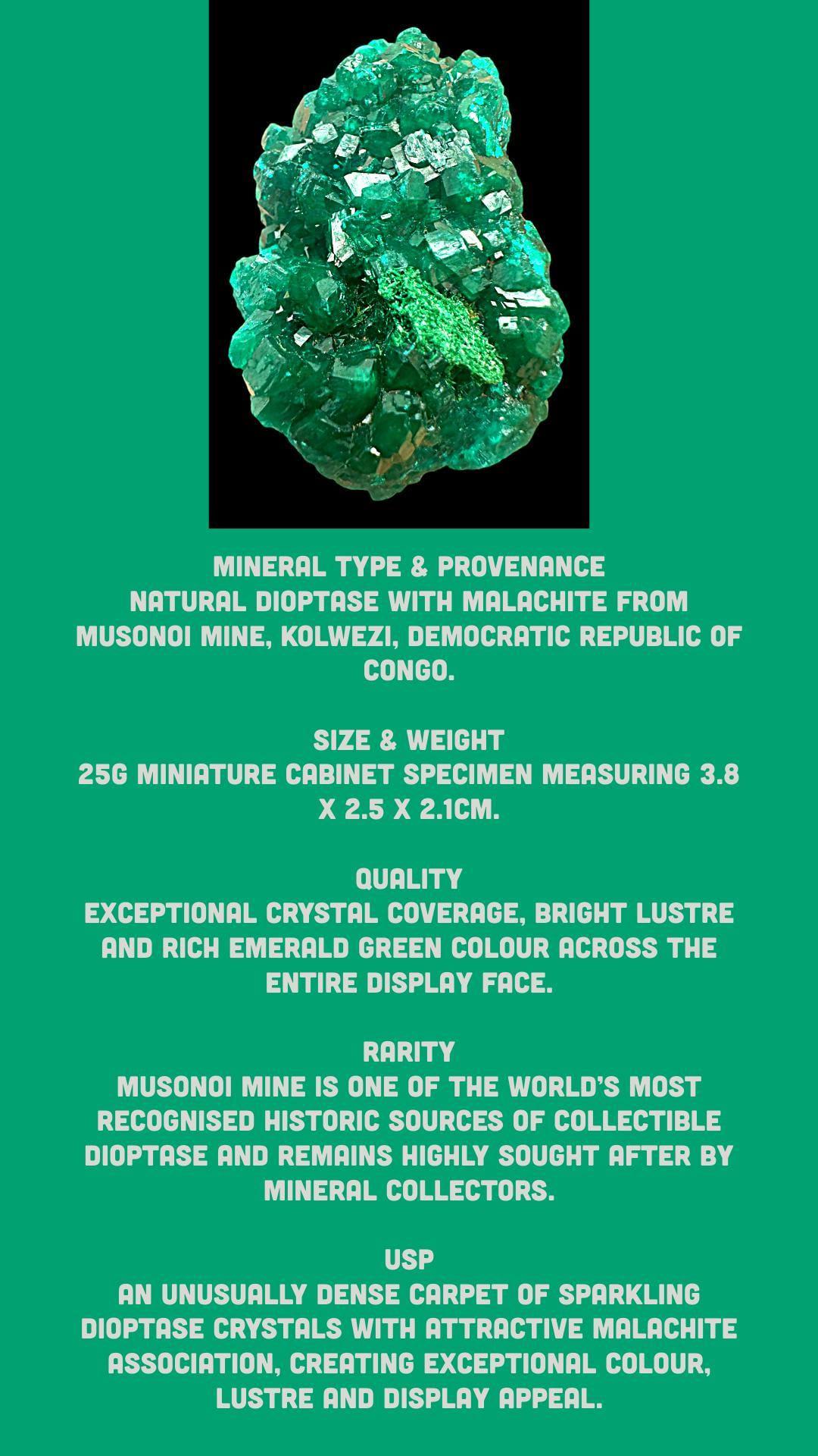 Dioptase crystal, dioptase specimen, dioptase cluster, raw dioptase crystal, dioptase with malachite, musonoi mine congo - Image 8