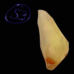 Libyan desert glass crystal tektite impactite natural desert silica glass rare specimen from the sahara desert