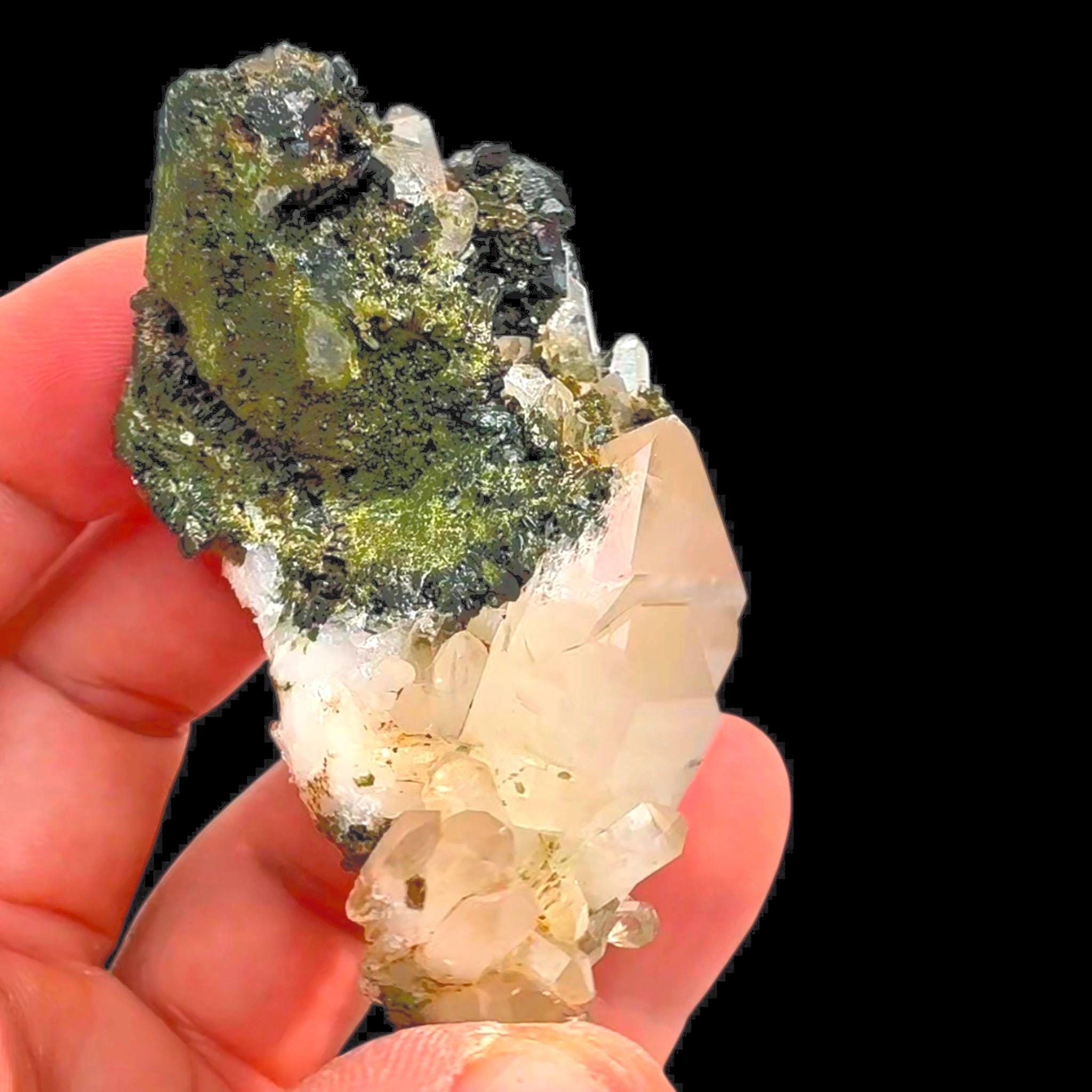 Epidote on Quartz, Black Green Epidote Crystal, High Luster Mineral Specimen, Hakkari Turkey, Turkish Epidote, High Contrast - Image 3
