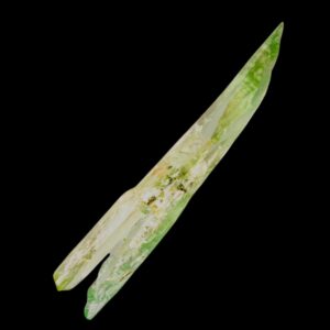 Hiddenite Crystal, North Carolina Hiddenite, Green Spodumene Crystal, Rare Mineral Specimen, Terry Ledford, Collector Mineral