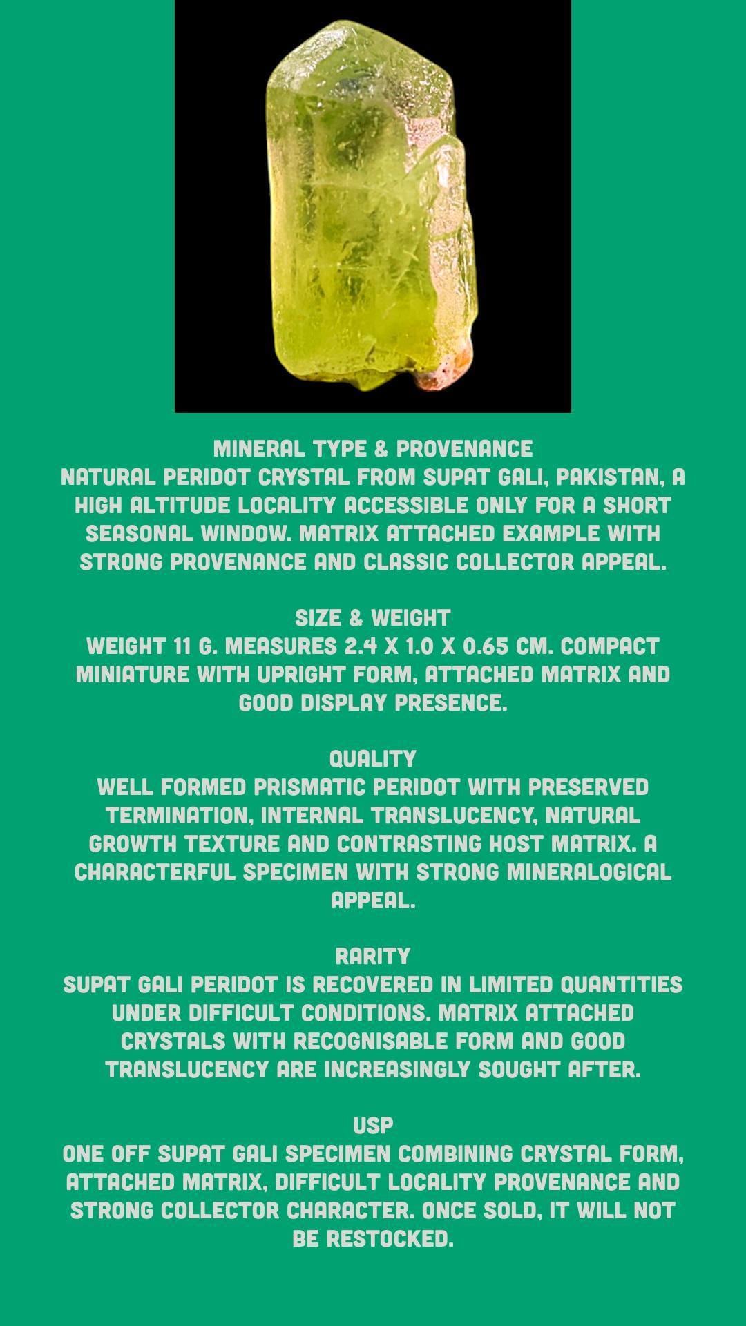 Peridot crystal, natural green peridot, terminated peridot crystal, raw peridot specimen, olivine, Supat Gali Pakistan, mineral specimen - Image 7