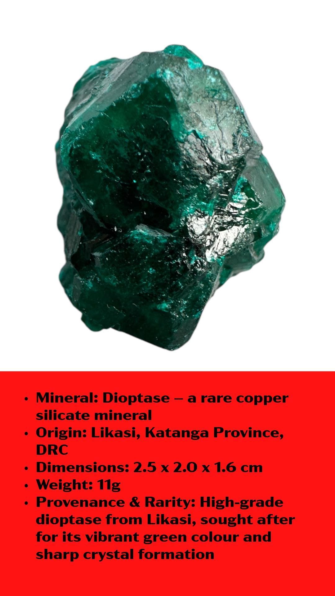 Dioptase crystal specimen, sharp green crystals, likasi congo mineral, rare collector crystal, raw dioptase cluster, african mineral - Image 10