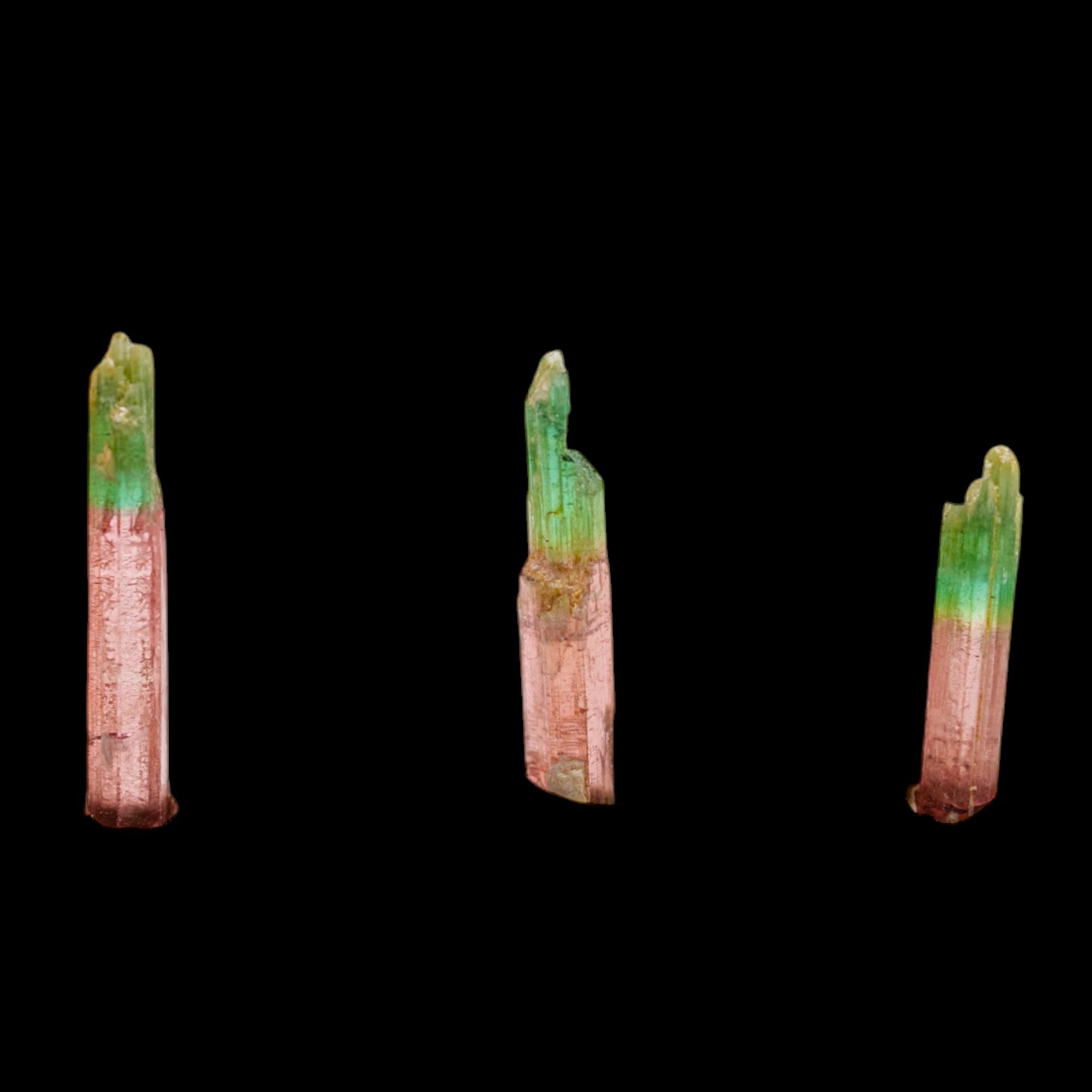 Three representative Morro Redondo tourmaline crystals with pink bodies and green tips against a black background. Sold by total carat weight.