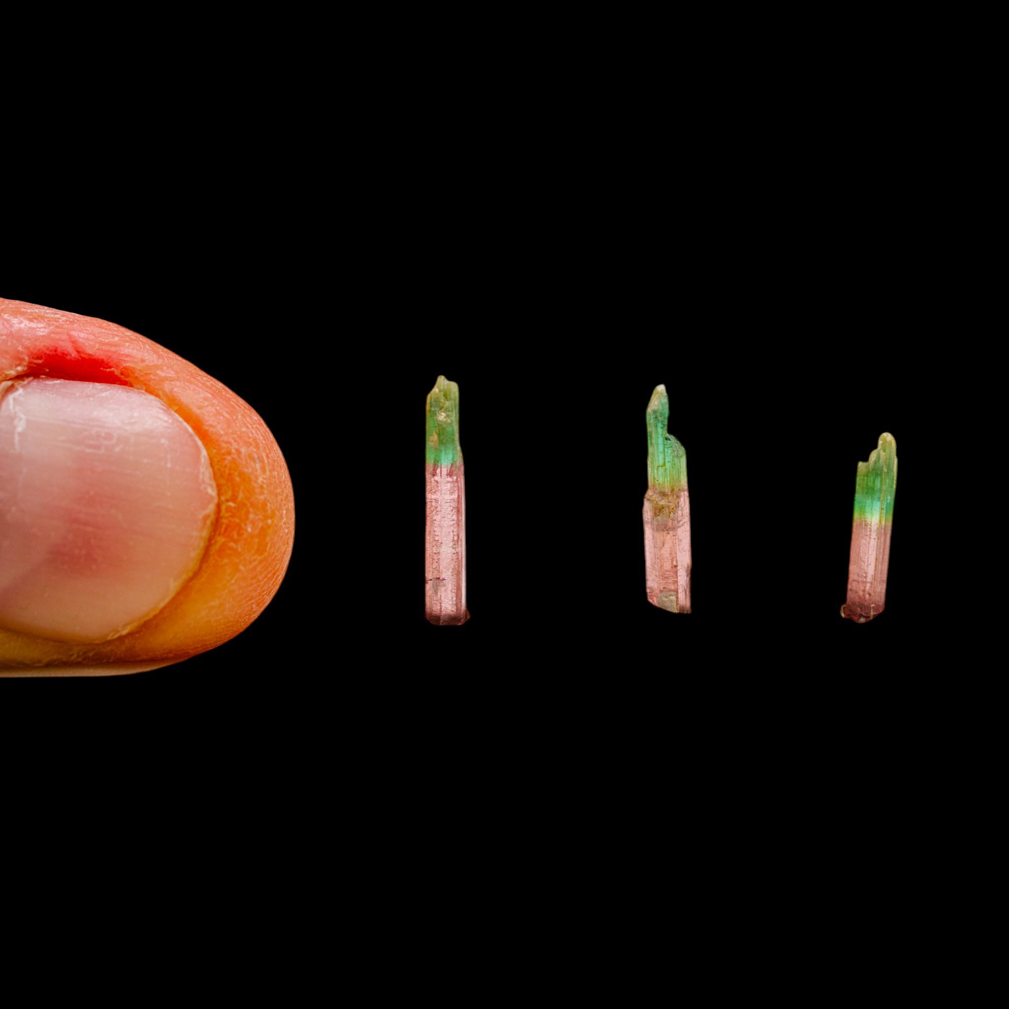 Three small pink and green Morro Redondo tourmaline crystals beside a thumb for scale; representative examples from the parcel.