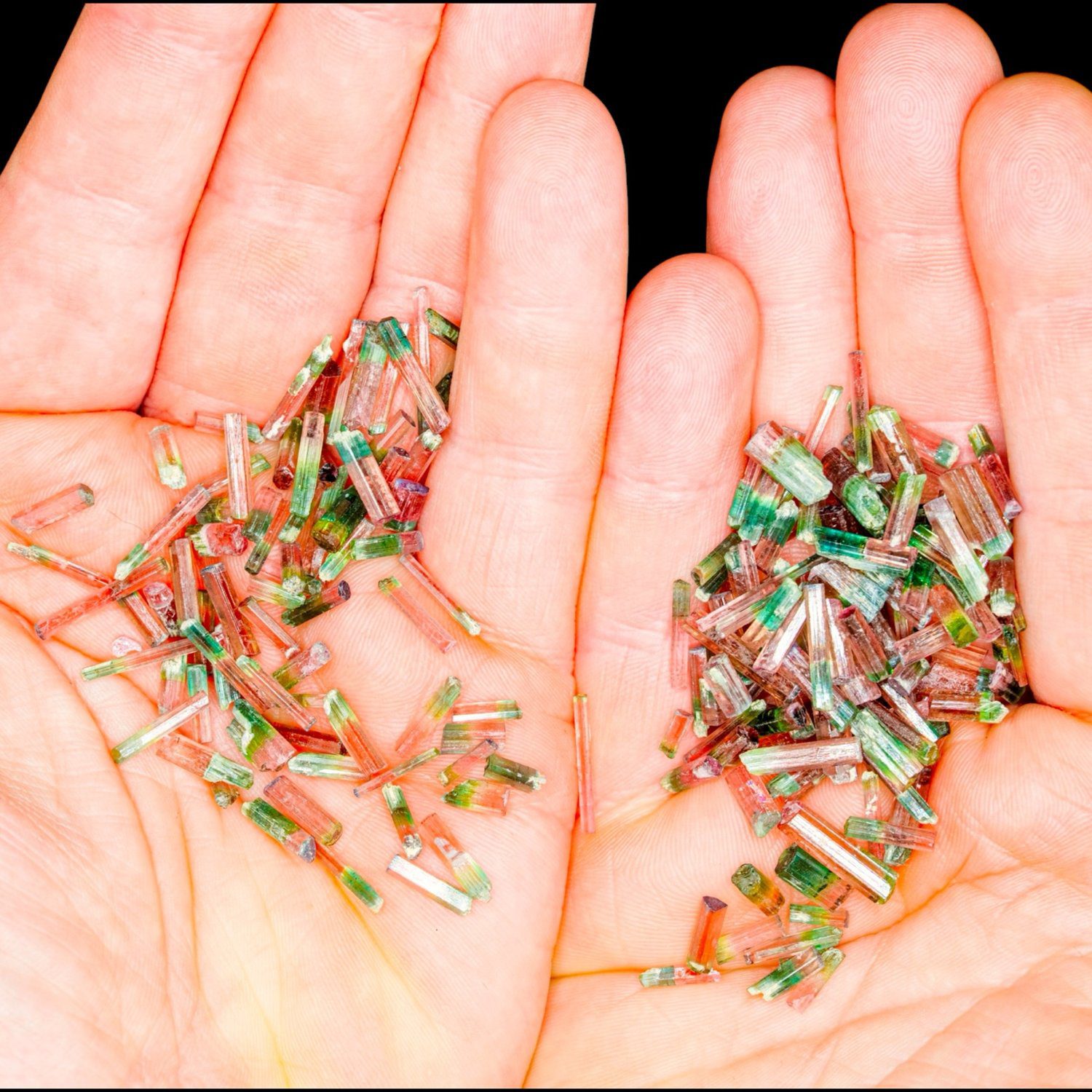 A selection of small pink and green Morro Redondo tourmaline crystals shown in two hands for scale.