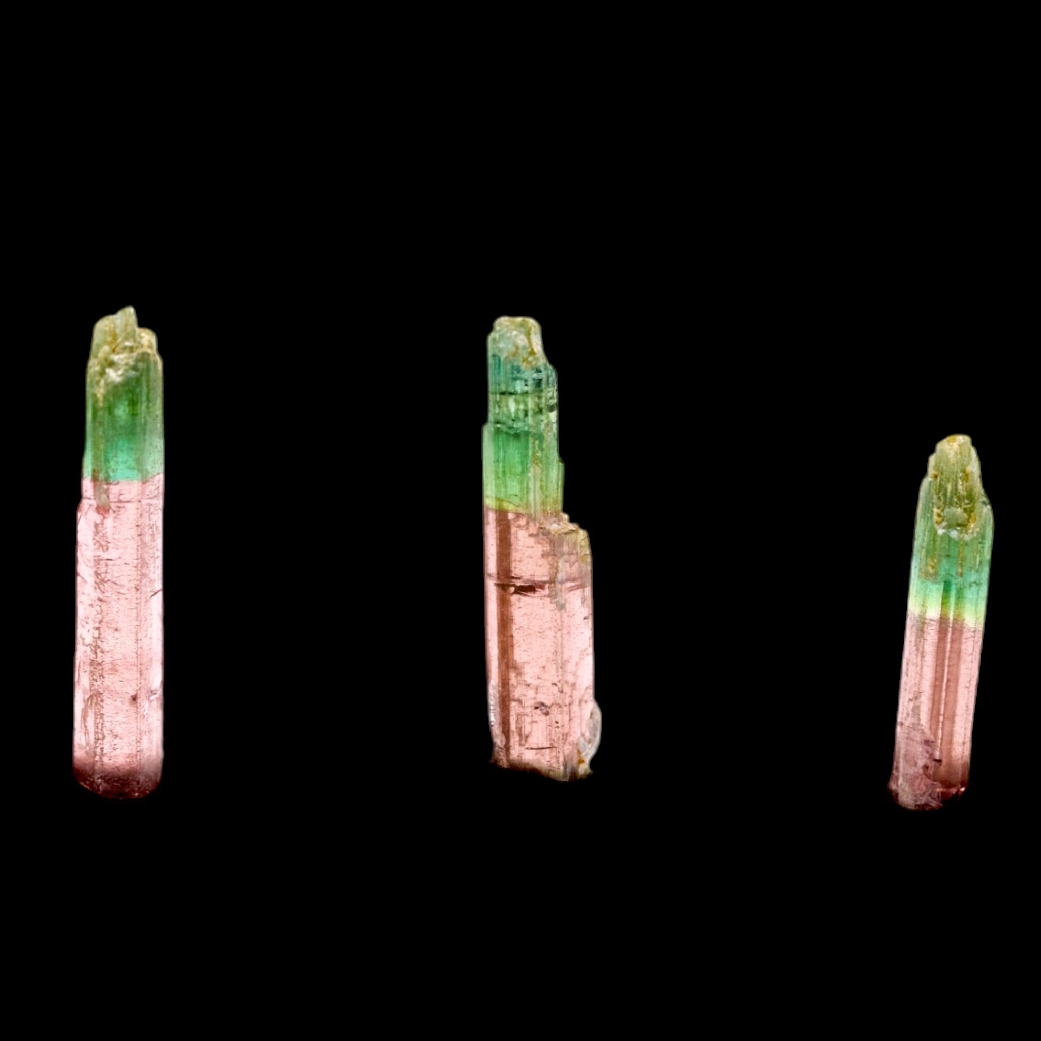 Close view of representative Morro Redondo tourmaline crystals showing pink and green colour zoning and lengthwise striations.