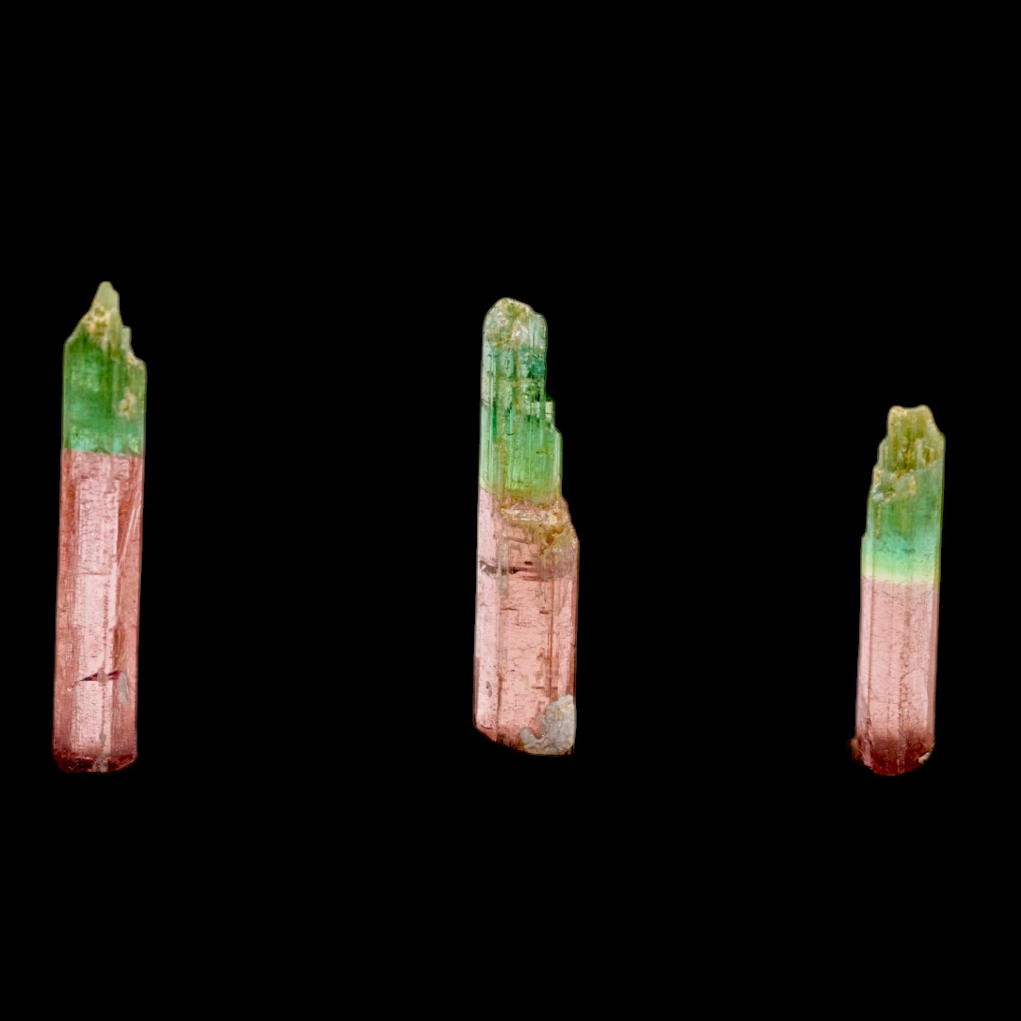 Another view of three representative Morro Redondo tourmaline crystals, showing variable ends and natural surface features.