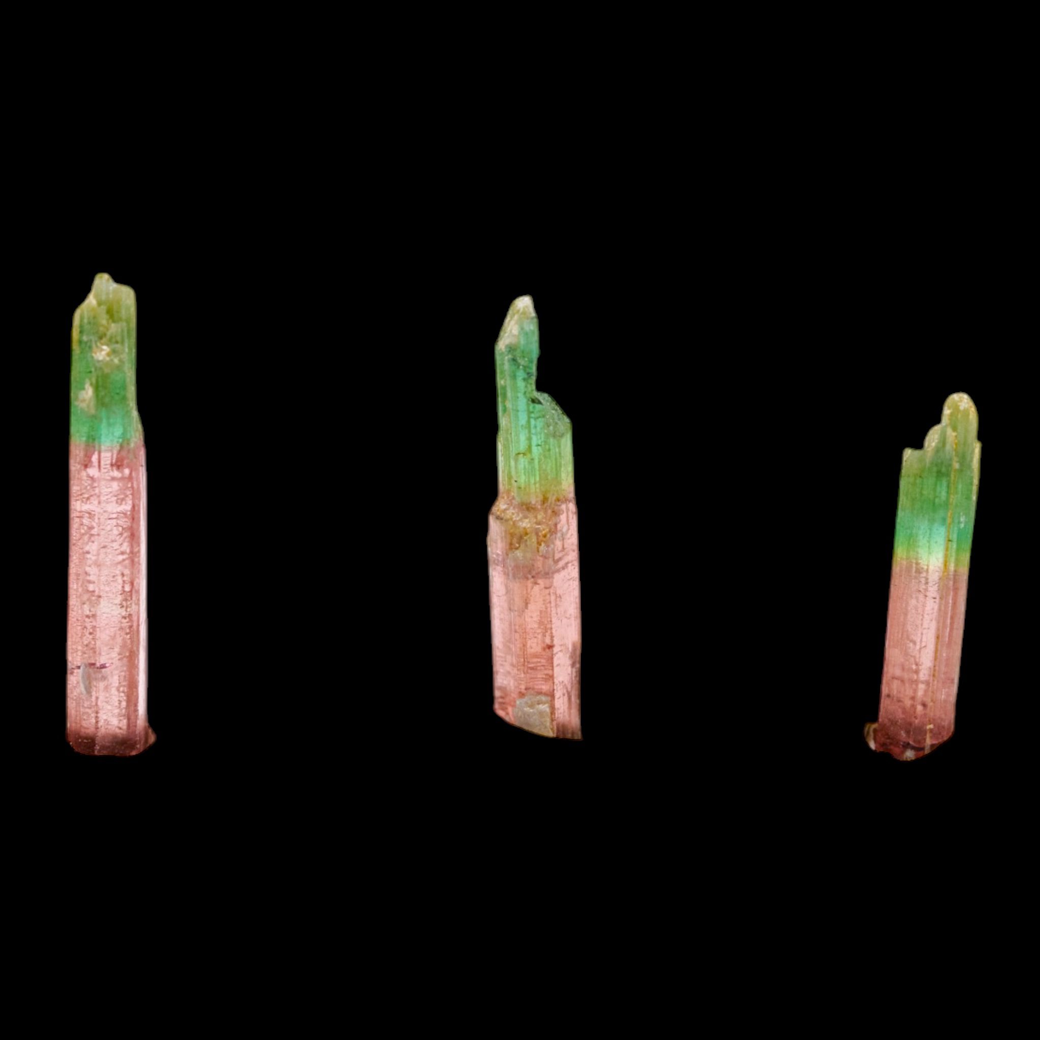 Side view of representative pink and green Morro Redondo tourmaline crystals against black.
