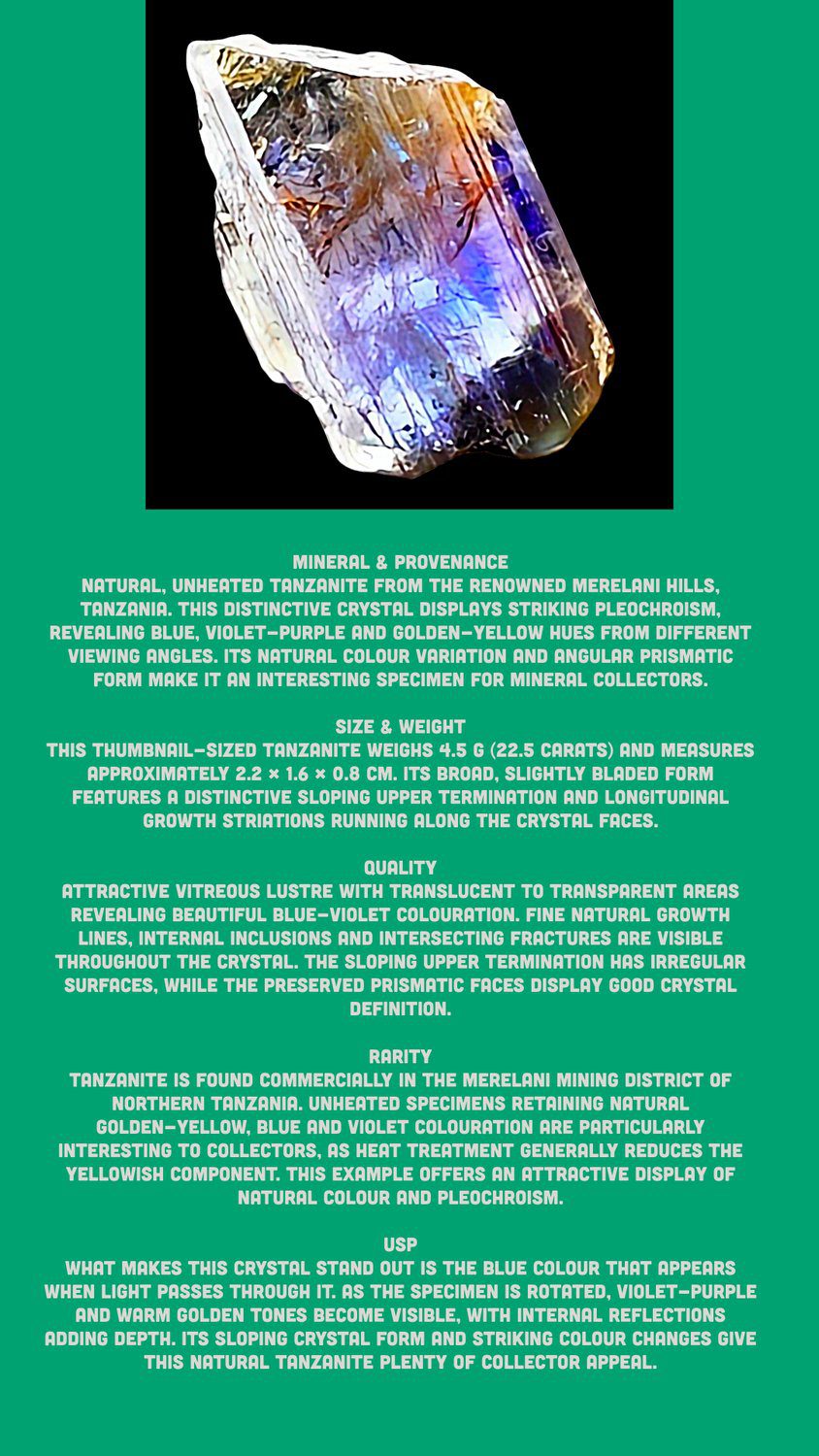 Natural Unheated Tanzanite Crystal Specimen Pleochroic Blue Violet, Merelani Hills Tanzania, 22.5ct - Image 10