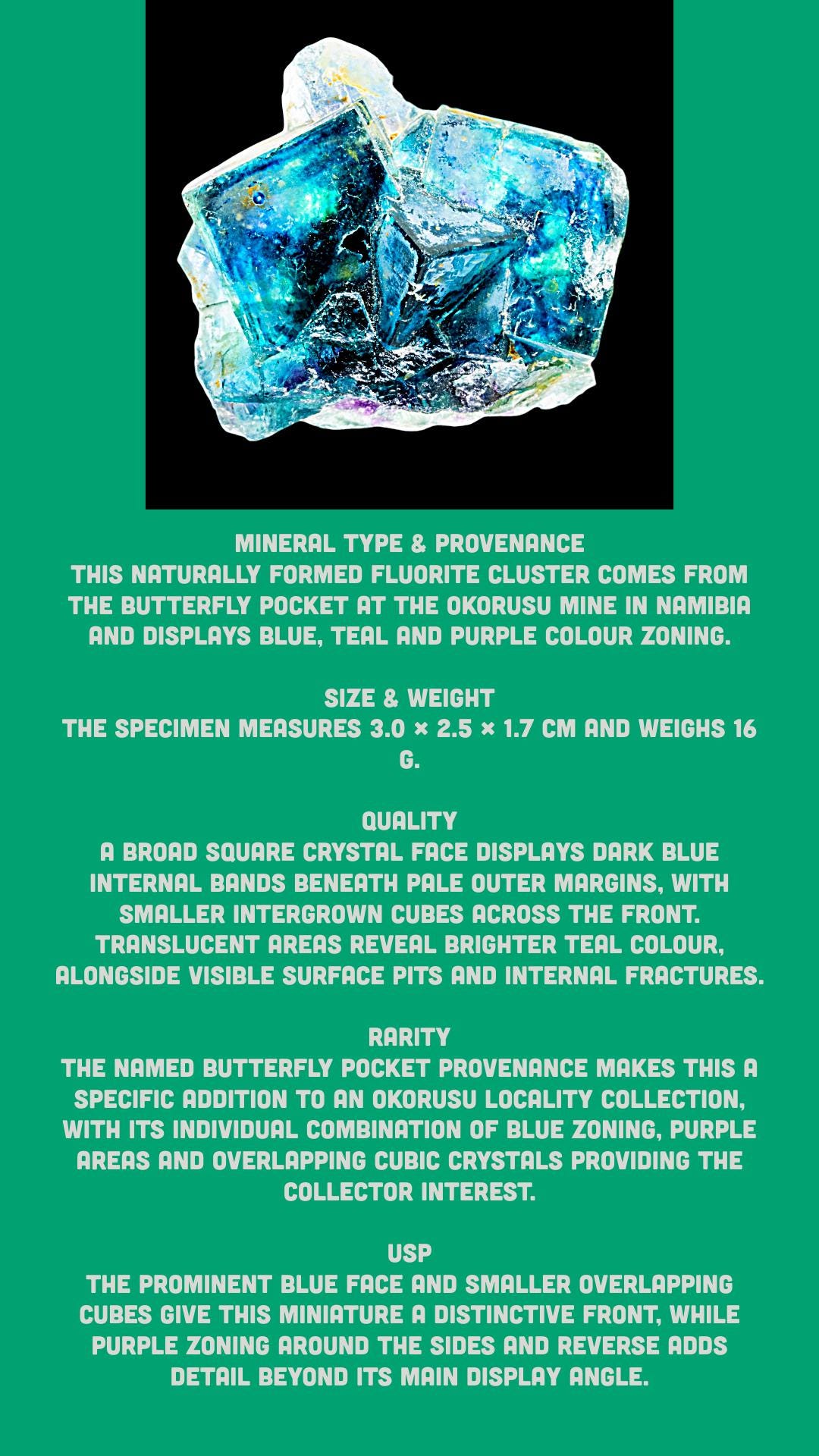 Fluorite crystal cluster, blue fluorite with purple zoning, butterfly pocket, okorusu mine, namibia - Image 9