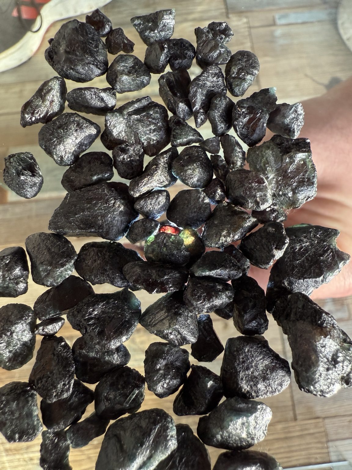 Dark flattened alexandrite crystals on a clear tray, with ridged surfaces and small green and red patches